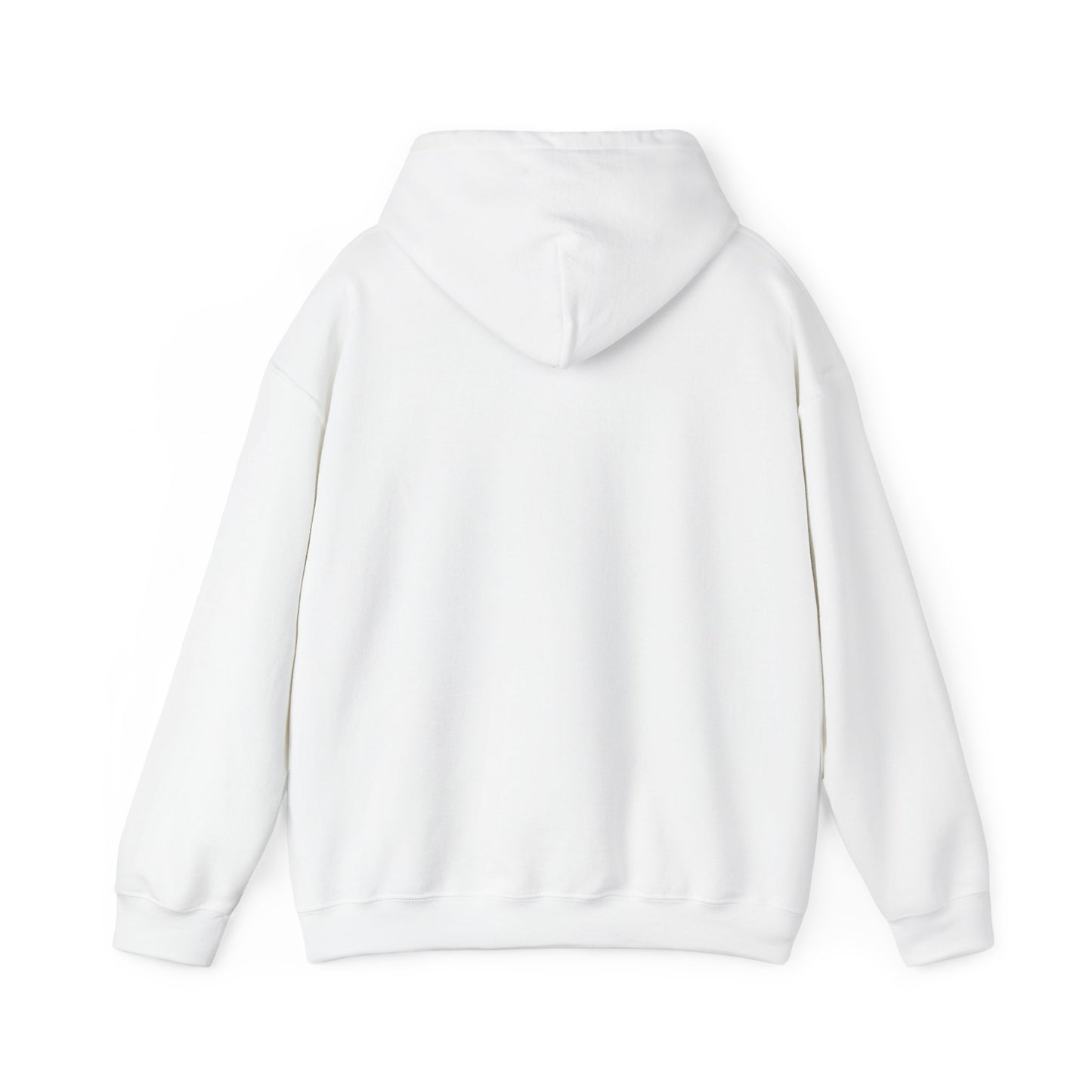 DECEPTION PASS BRIDGE, LOOKOUT Unisex Heavy Blend™ Hooded Sweatshirt