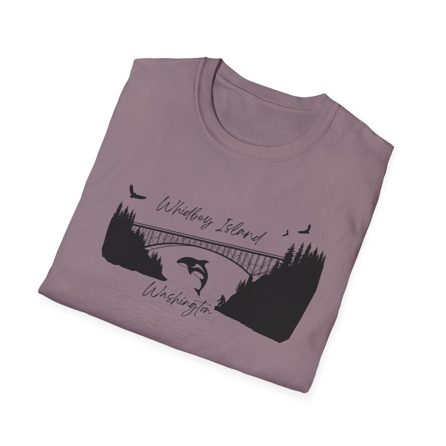 DECEPTION PASS BRIDGE, SCENE Unisex Softstyle T-Shirt