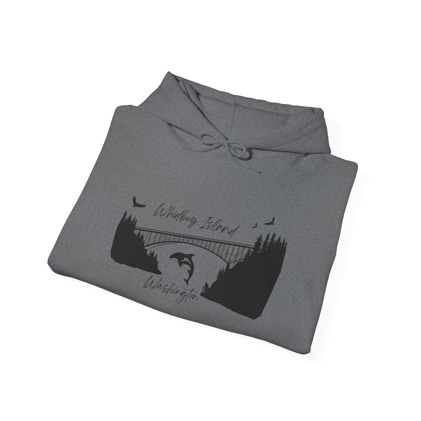 DECEPTION PASS BRIDGE, SCENE Unisex Heavy Blend™ Hooded Sweatshirt