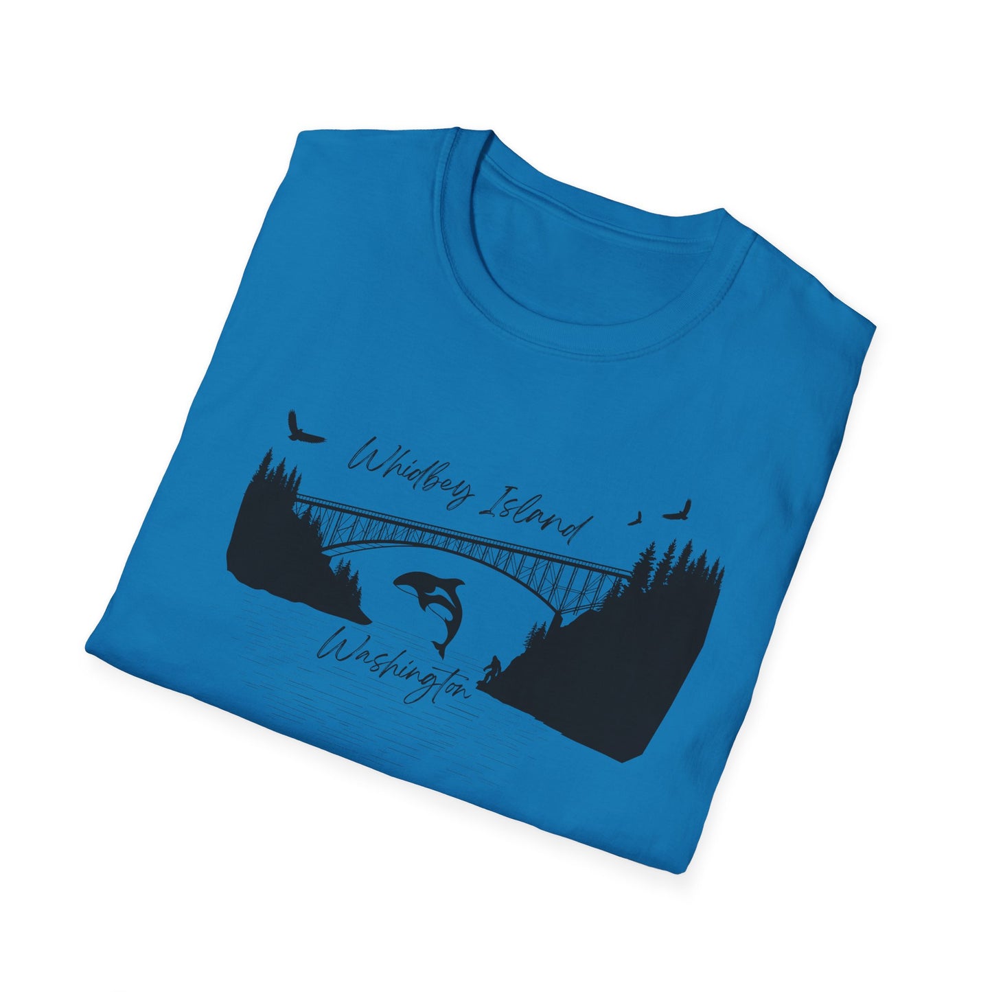DECEPTION PASS BRIDGE, SCENE Unisex Softstyle T-Shirt