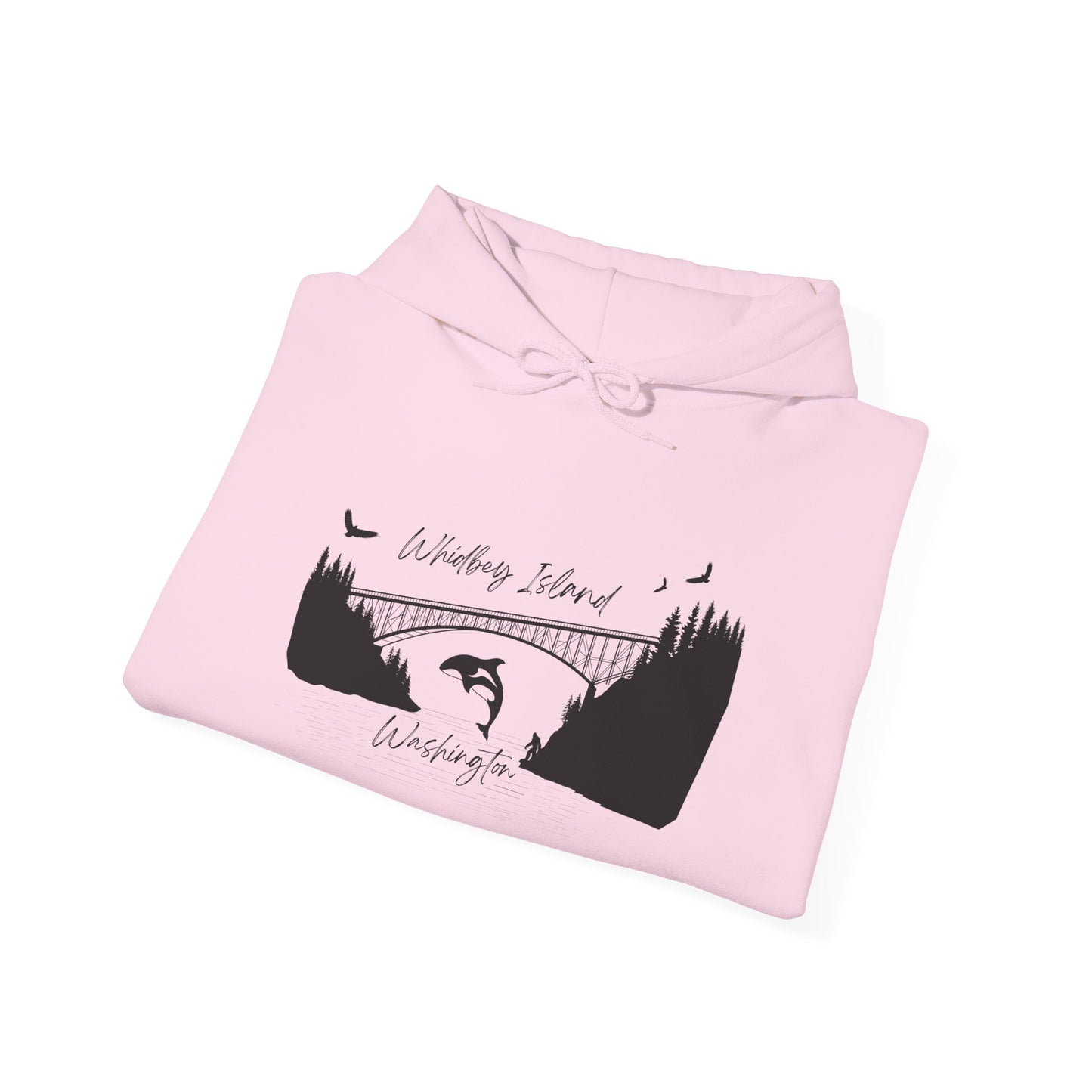 DECEPTION PASS BRIDGE, SCENE Unisex Heavy Blend™ Hooded Sweatshirt