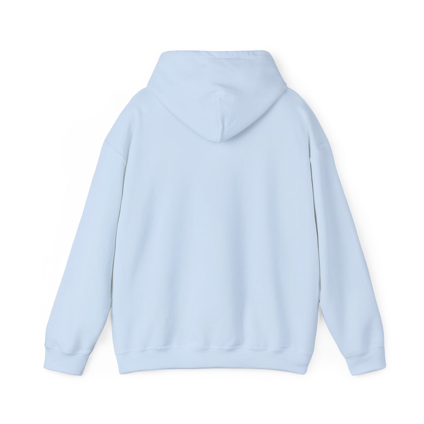 DECEPTION PASS BRIDGE, SCENE Unisex Heavy Blend™ Hooded Sweatshirt