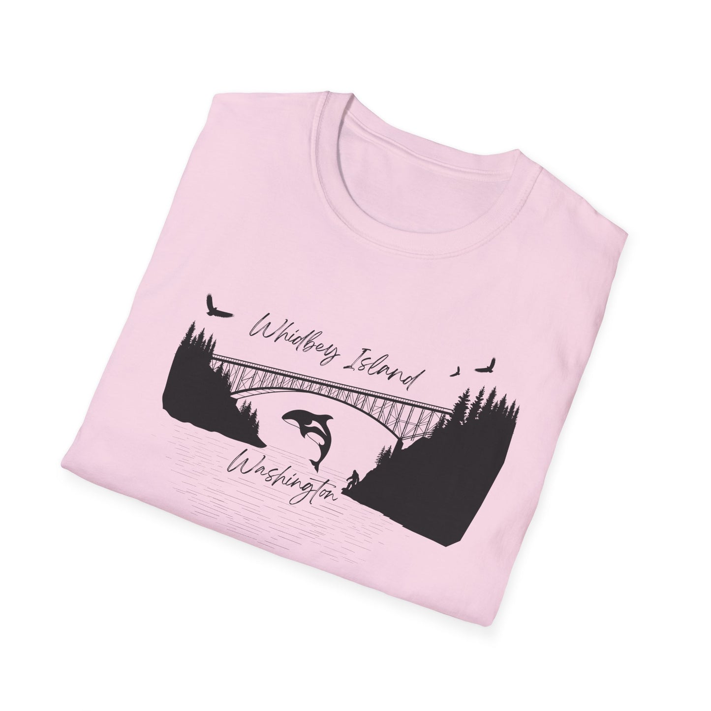 DECEPTION PASS BRIDGE, SCENE Unisex Softstyle T-Shirt