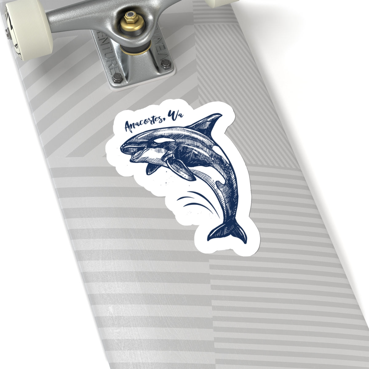 Anacortes Orca Sketch Sticker