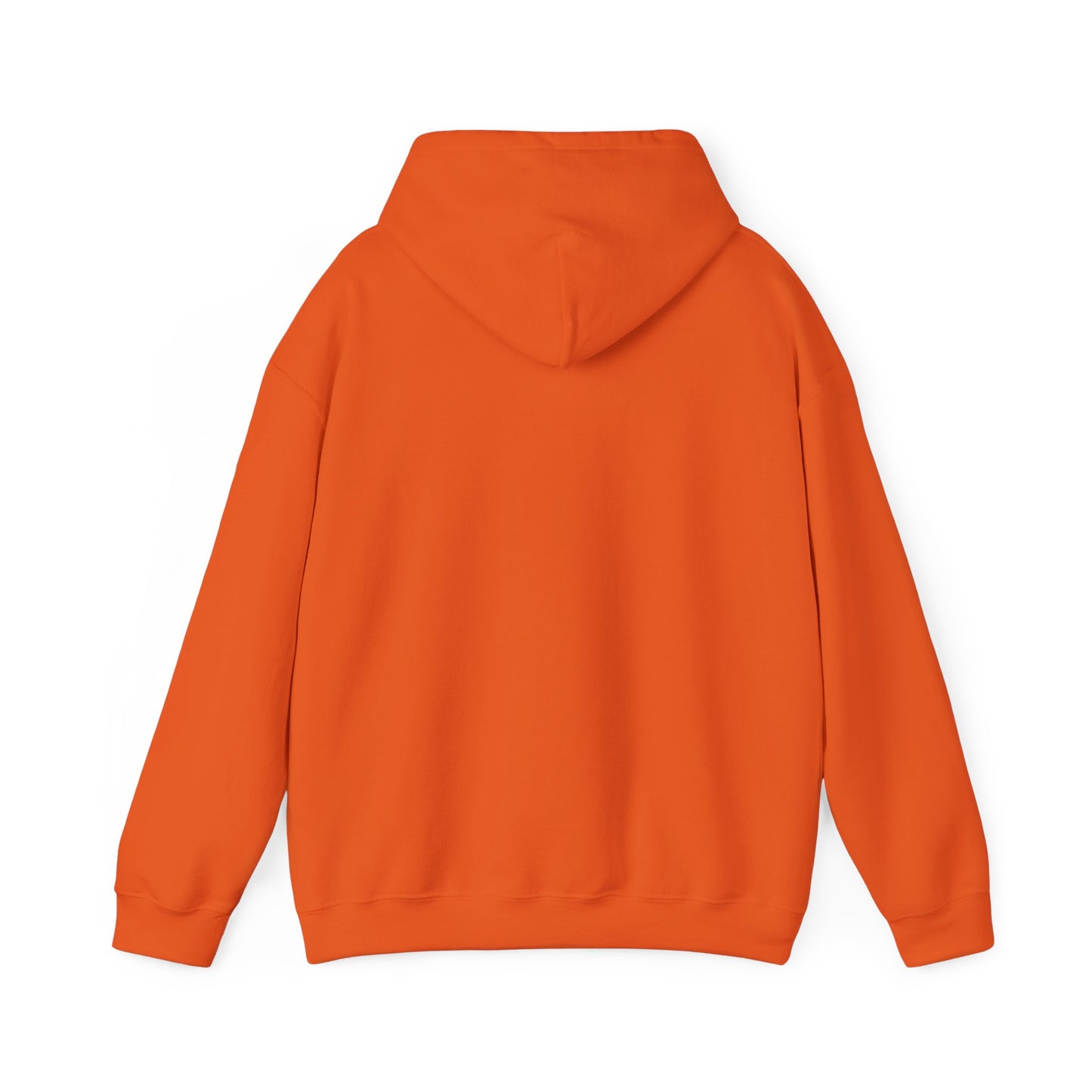 DECEPTION PASS BRIDGE, SCENE Unisex Heavy Blend™ Hooded Sweatshirt
