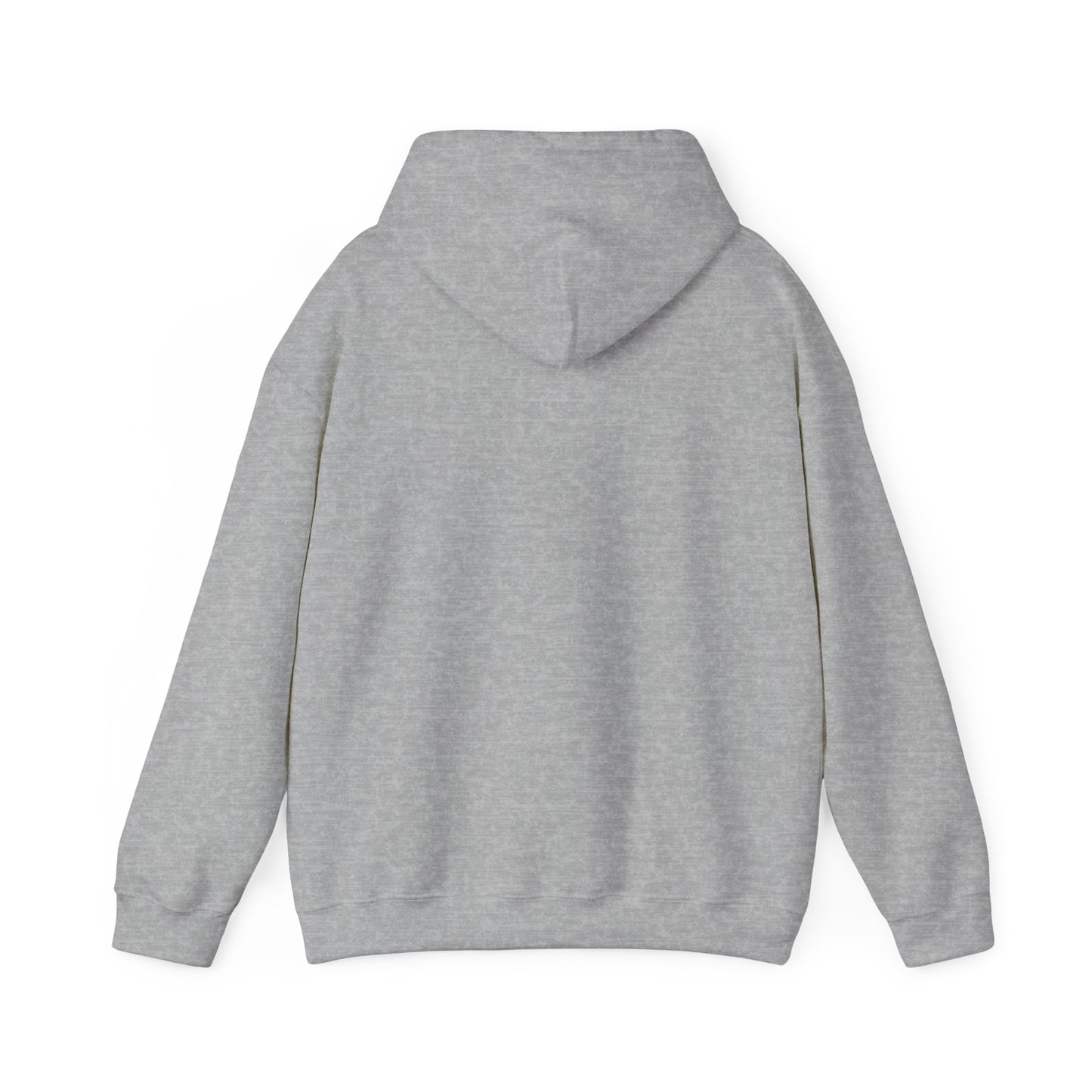 DECEPTION PASS BRIDGE, LOOKOUT Unisex Heavy Blend™ Hooded Sweatshirt