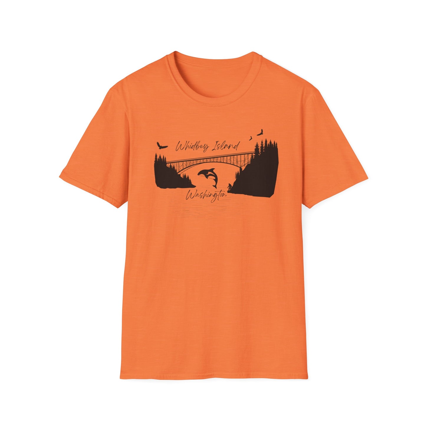 DECEPTION PASS BRIDGE, SCENE Unisex Softstyle T-Shirt