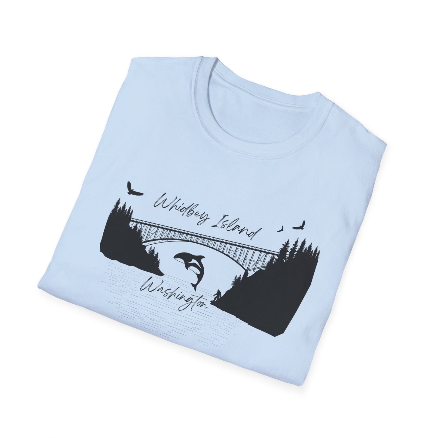 DECEPTION PASS BRIDGE, SCENE Unisex Softstyle T-Shirt