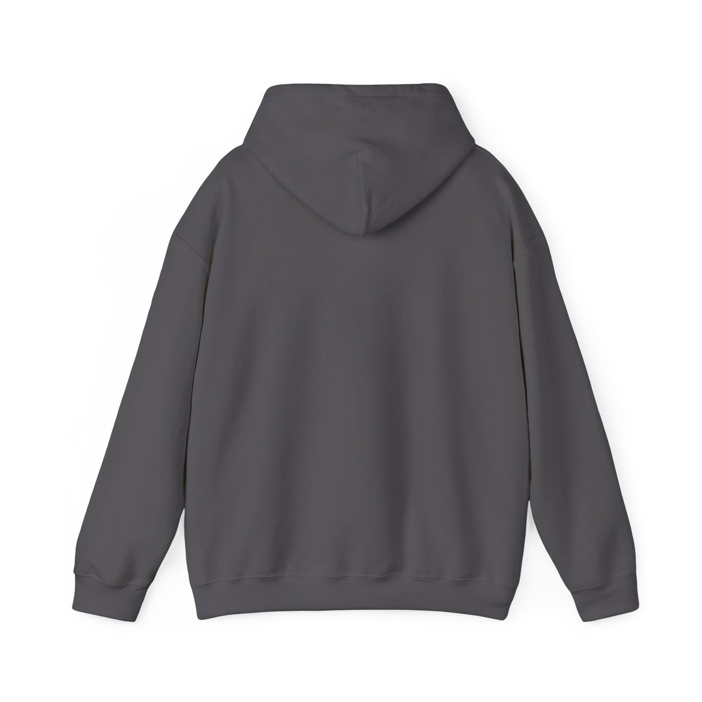 DECEPTION PASS BRIDGE, Unisex Heavy Blend™ Hooded Sweatshirt
