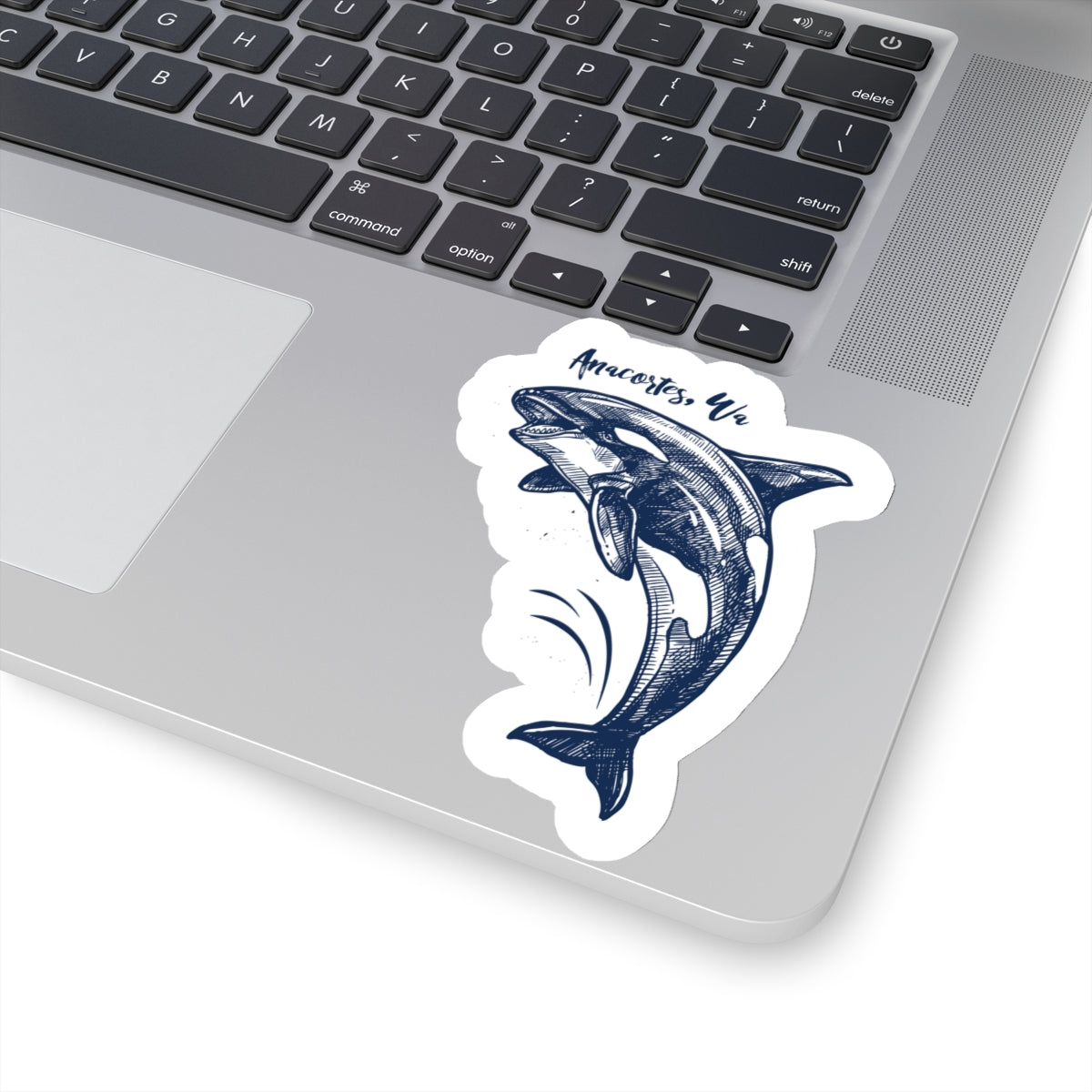 Anacortes Orca Sketch Sticker