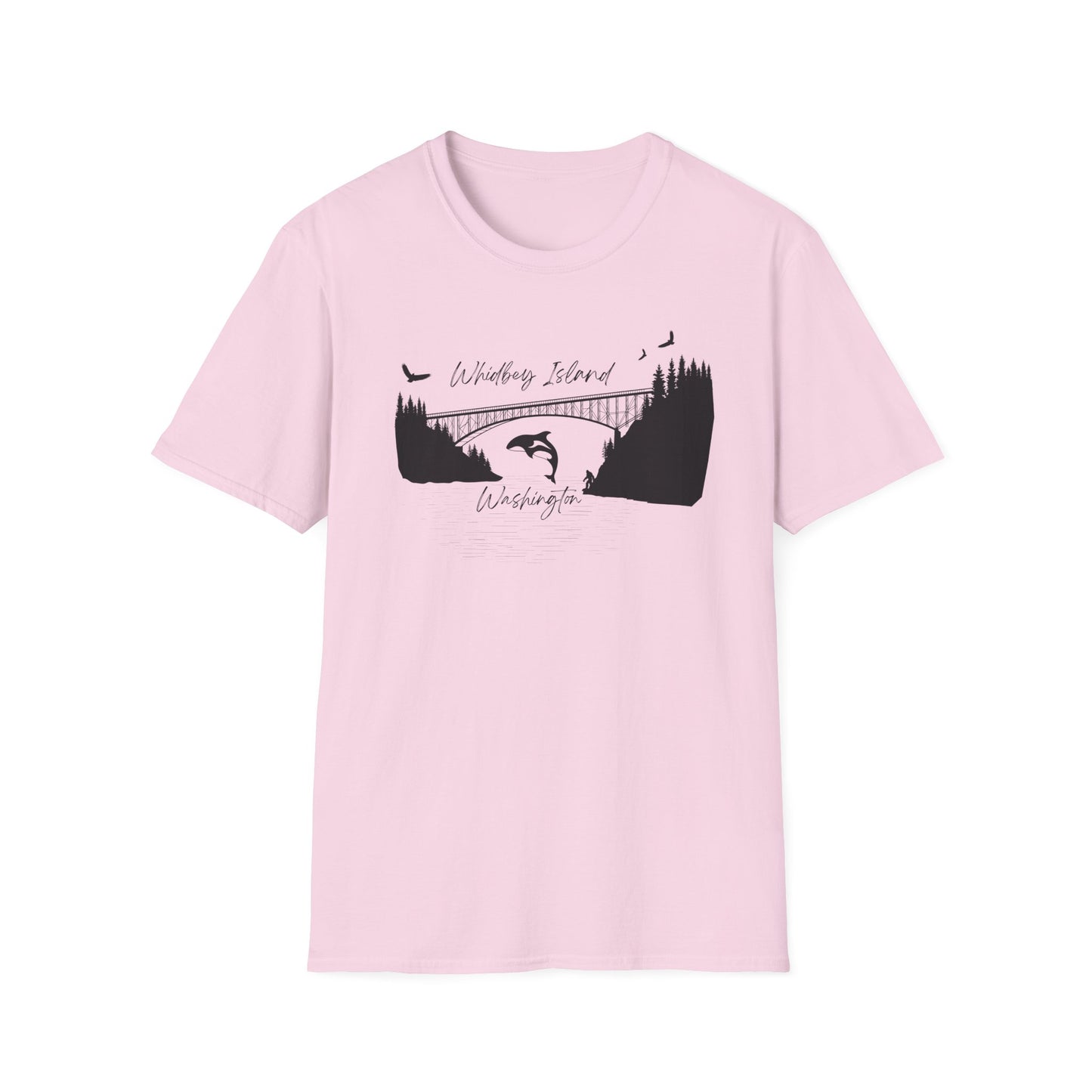 DECEPTION PASS BRIDGE, SCENE Unisex Softstyle T-Shirt