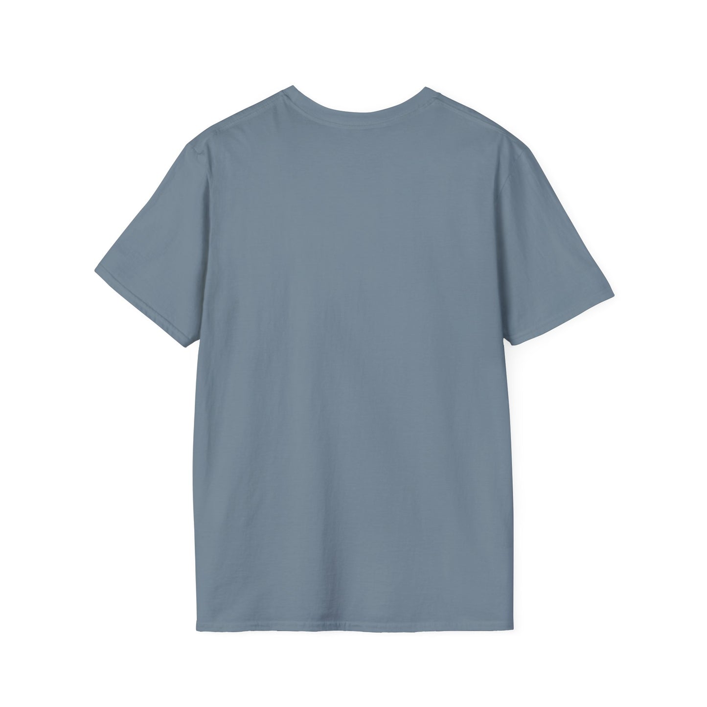 DECEPTION PASS BRIDGE, PAINTED Unisex Softstyle T-Shirt