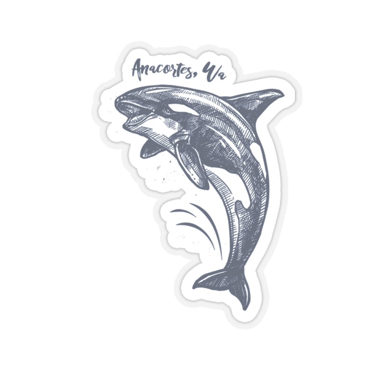 Anacortes Orca Sketch Sticker