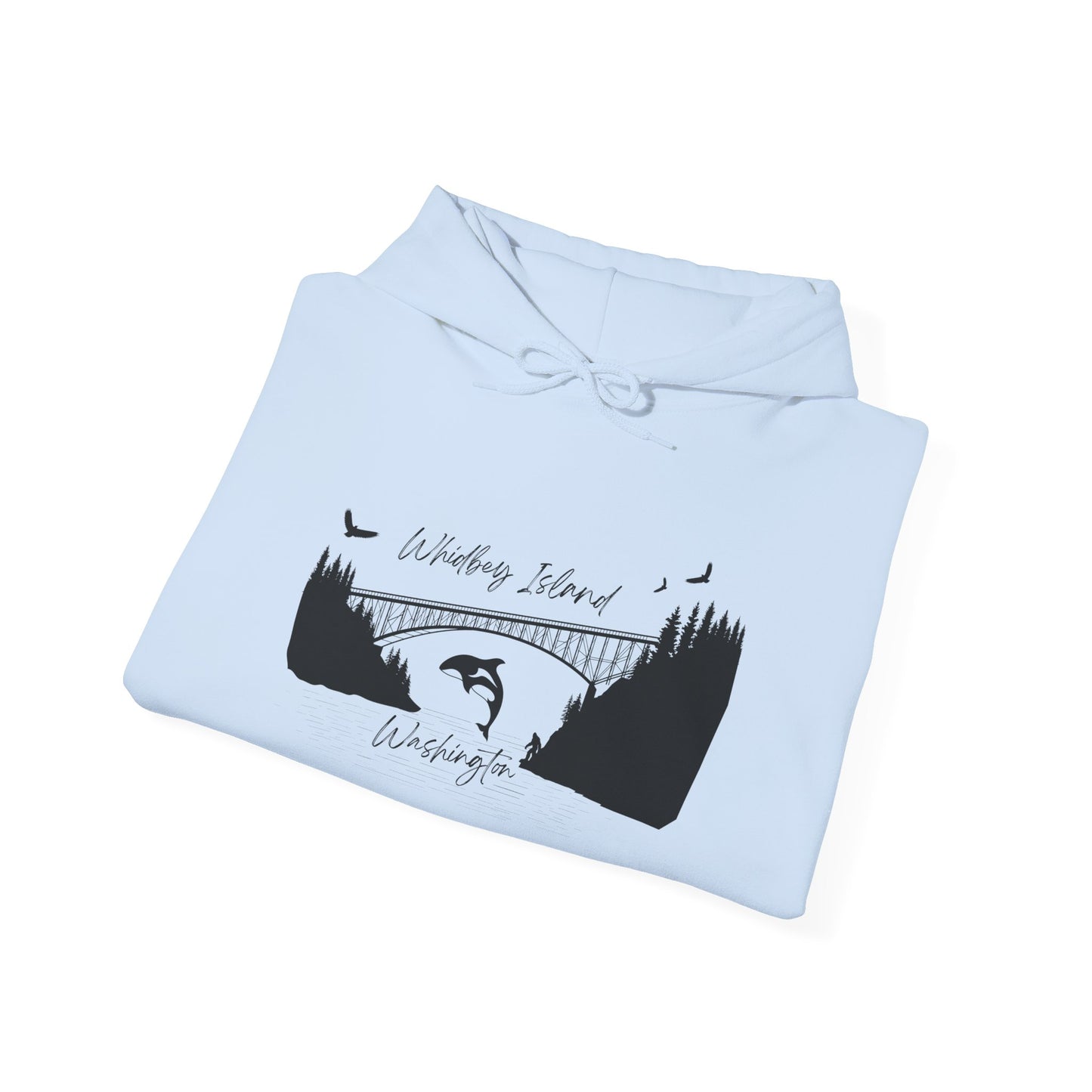 DECEPTION PASS BRIDGE, SCENE Unisex Heavy Blend™ Hooded Sweatshirt