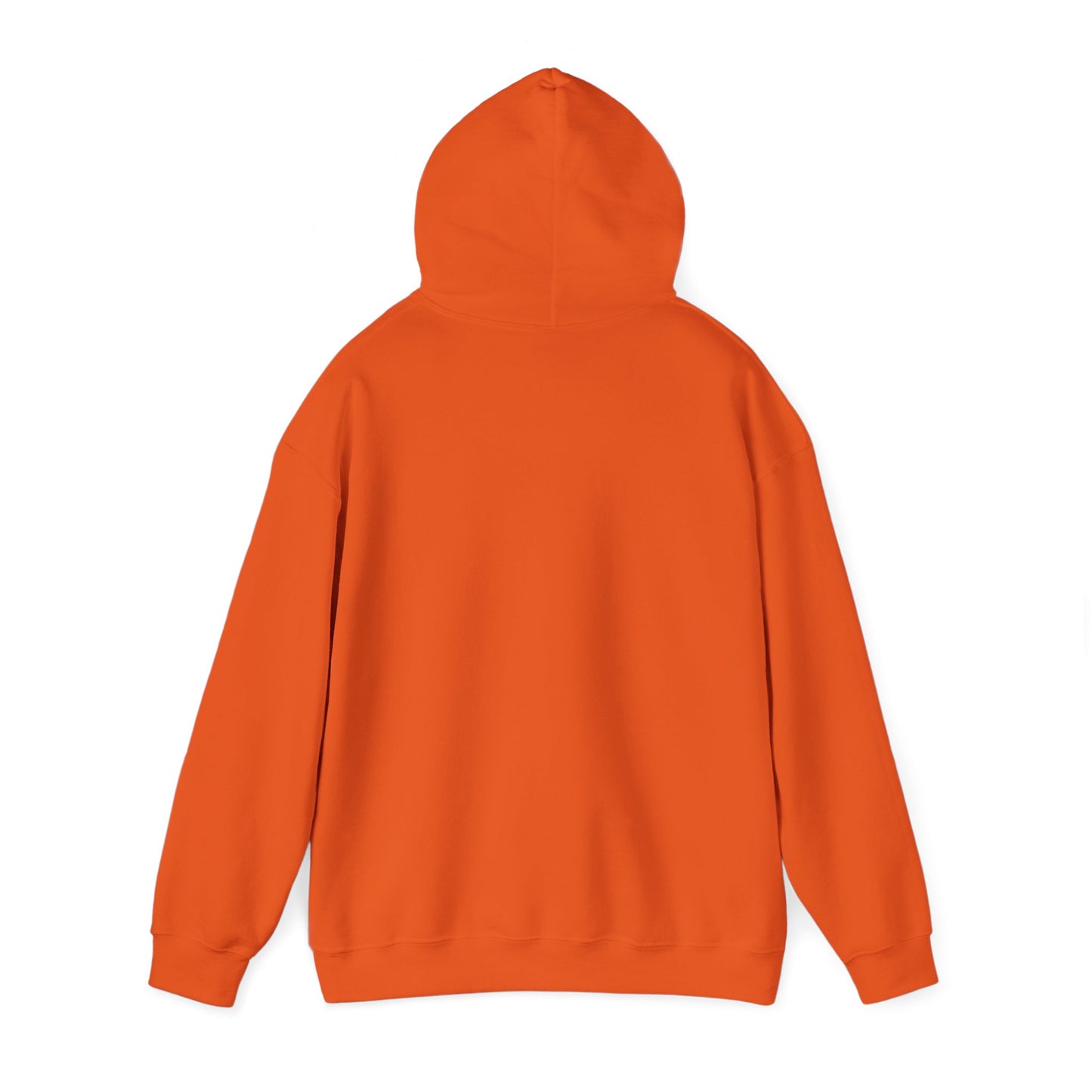 DECEPTION PASS BRIDGE, SCENE Unisex Heavy Blend™ Hooded Sweatshirt