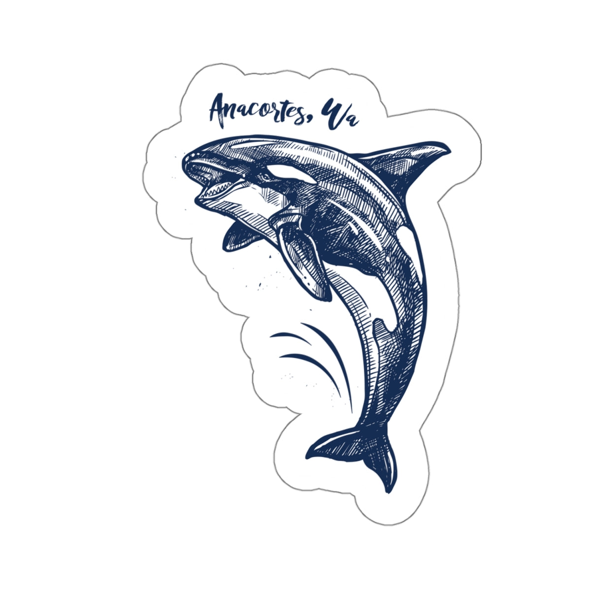Anacortes Orca Sketch Sticker