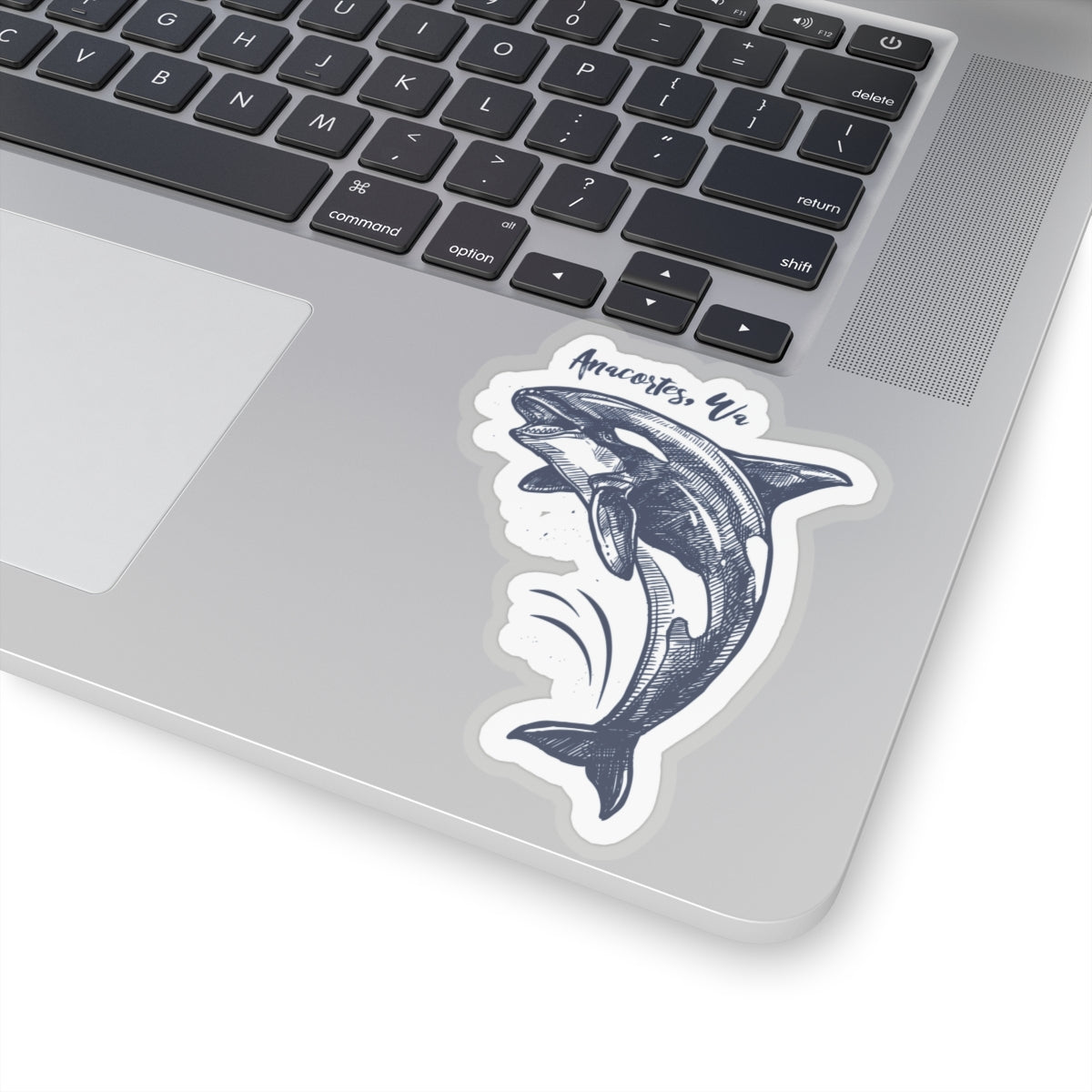 Anacortes Orca Sketch Sticker