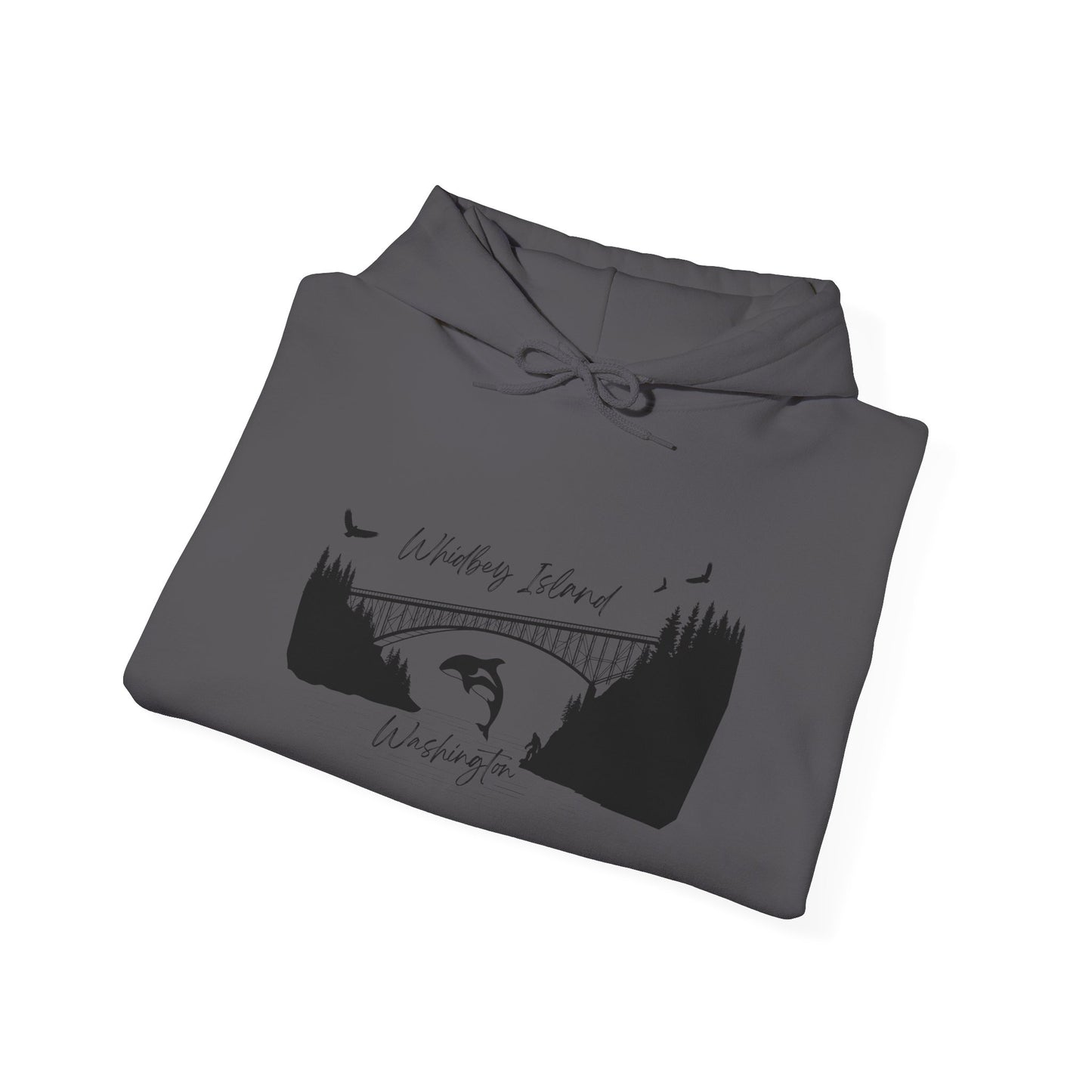 DECEPTION PASS BRIDGE, SCENE Unisex Heavy Blend™ Hooded Sweatshirt