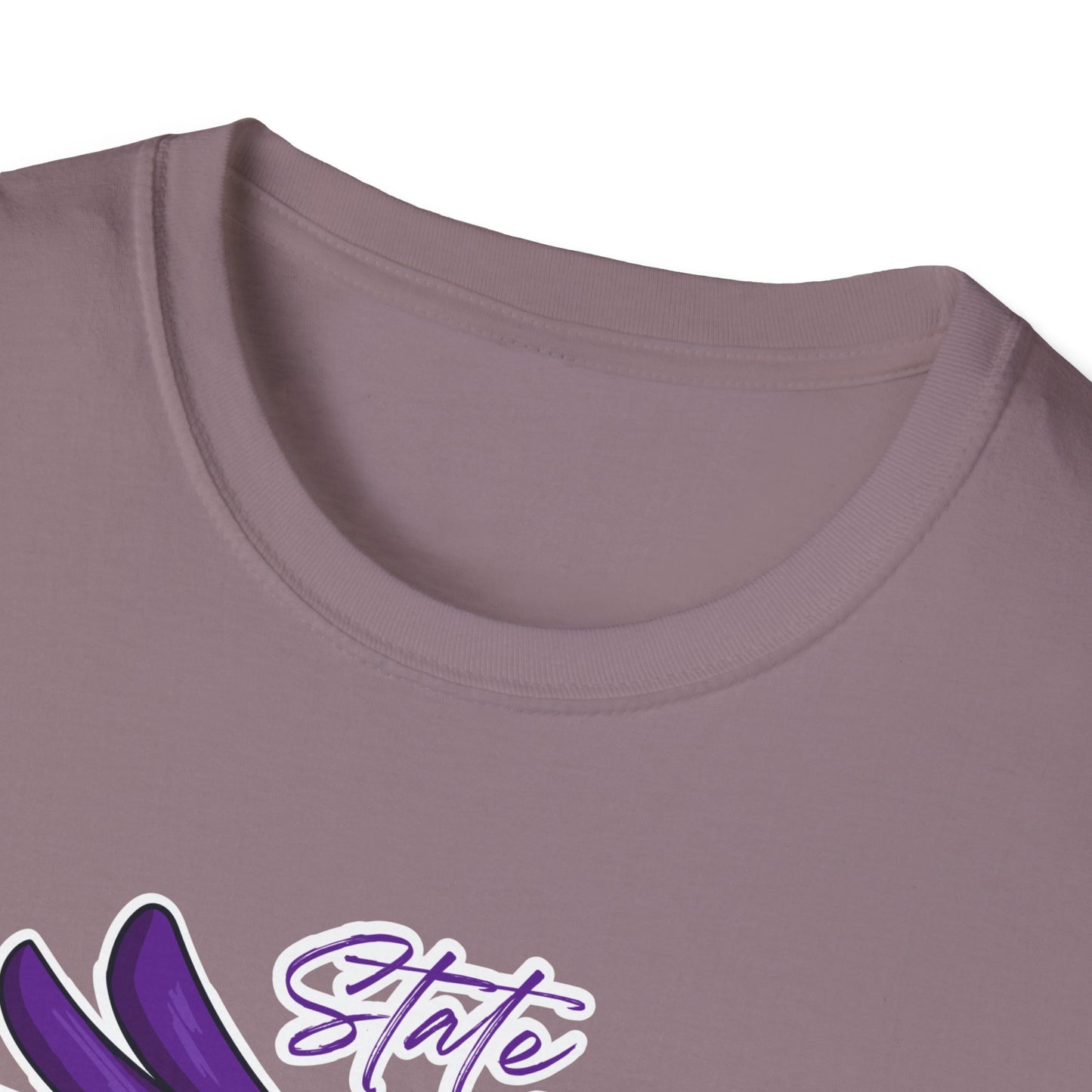 ANACORTES SEAHAWKS CHAMP Unisex Softstyle T-Shirt