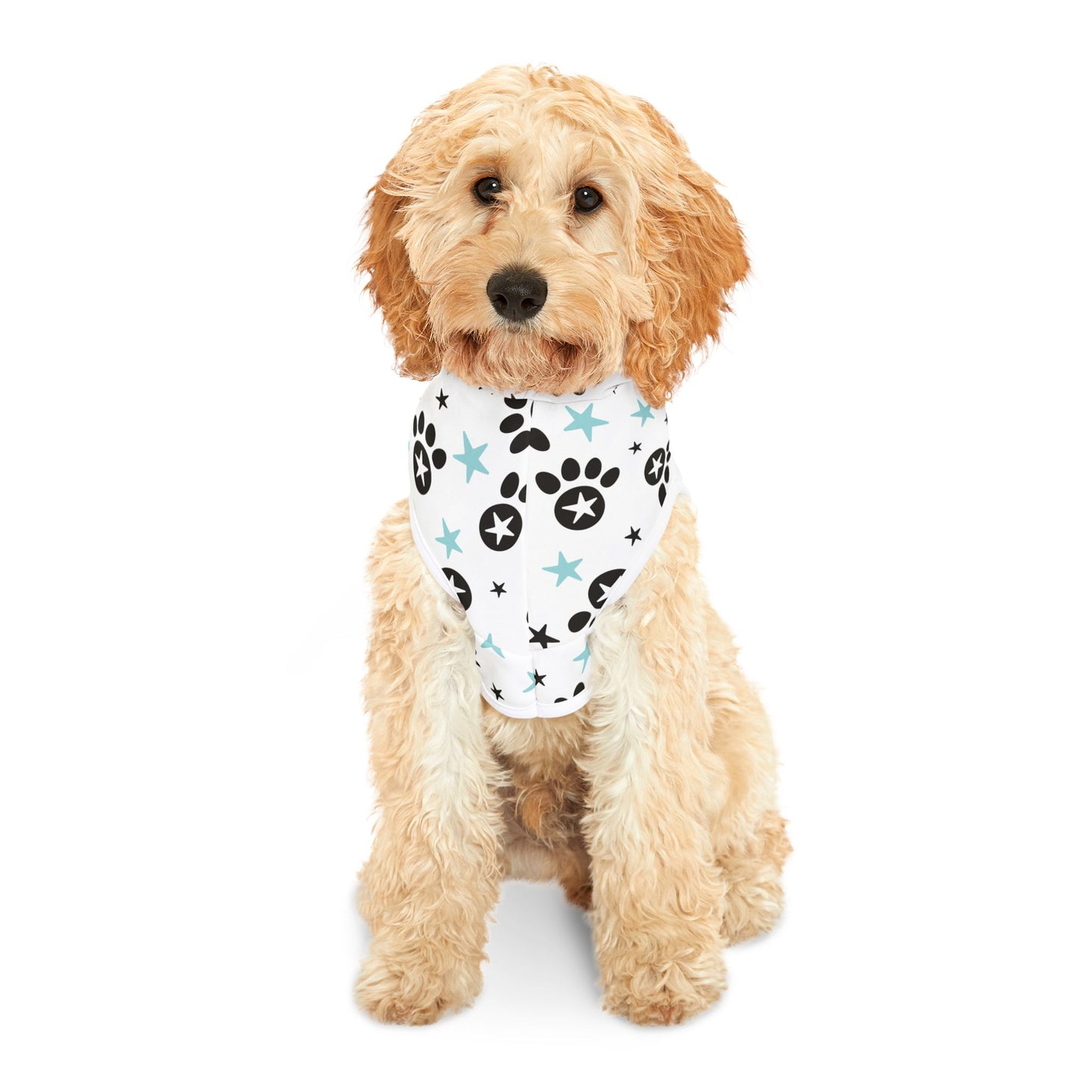 CATALOG Pet Hoodie