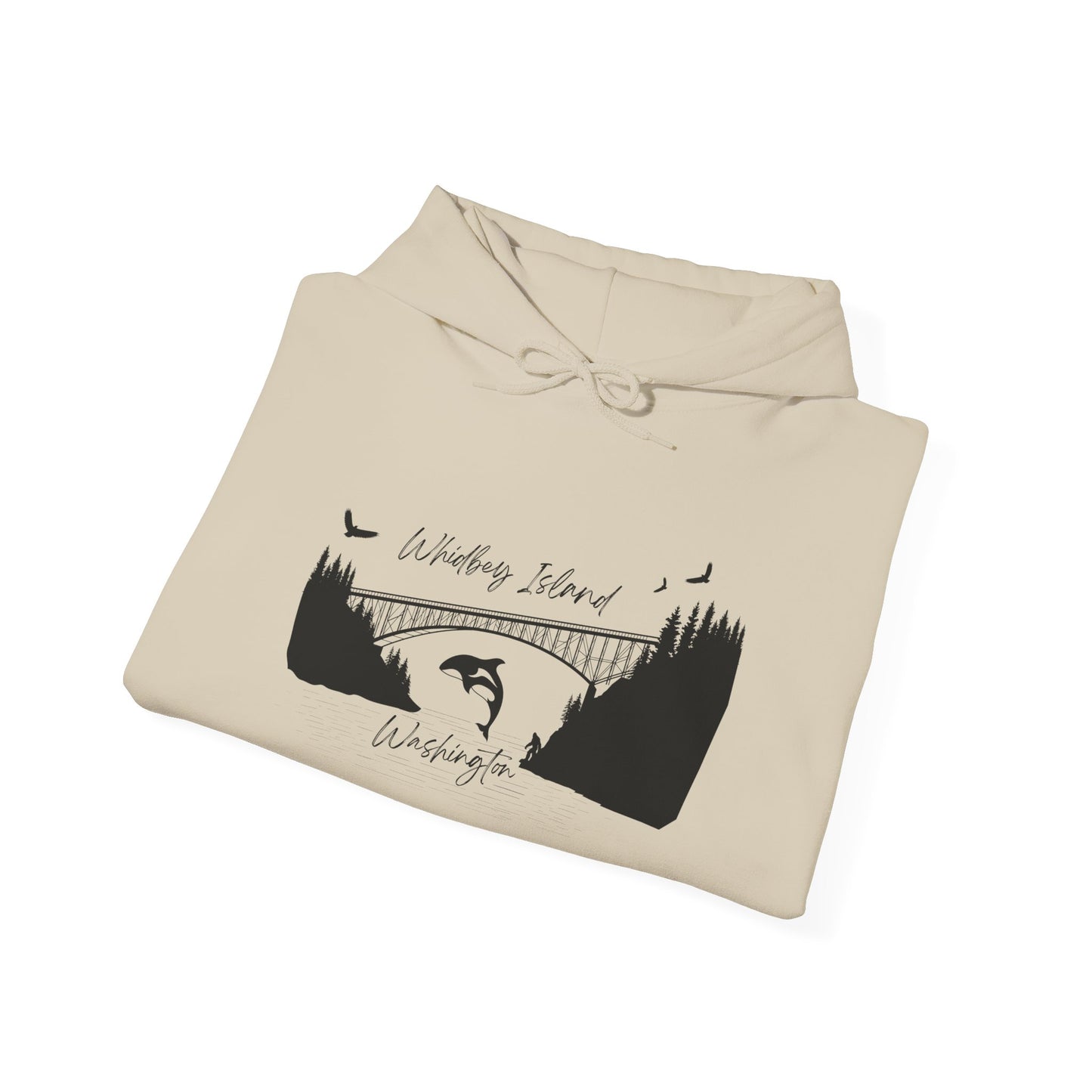 DECEPTION PASS BRIDGE, SCENE Unisex Heavy Blend™ Hooded Sweatshirt