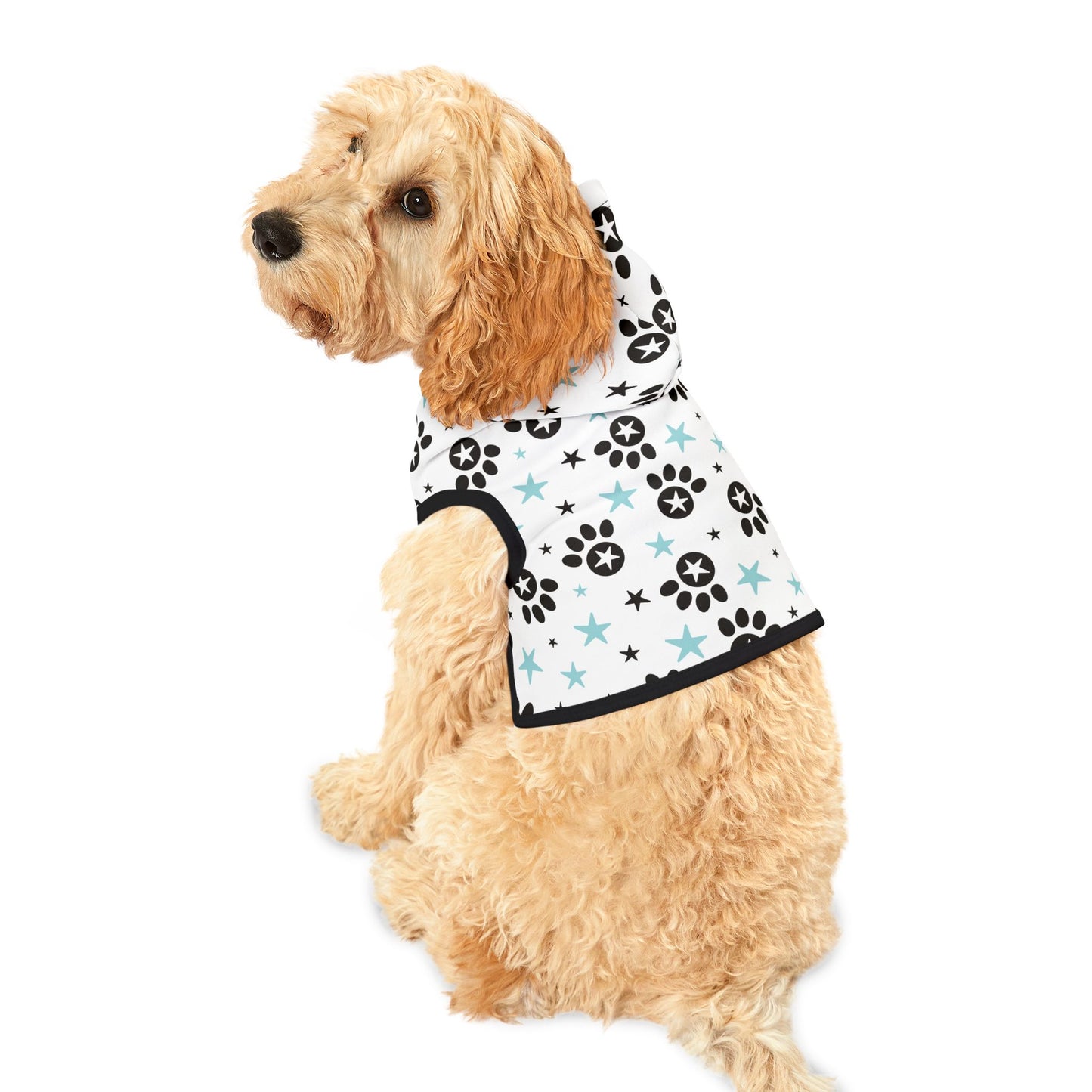 CATALOG Pet Hoodie