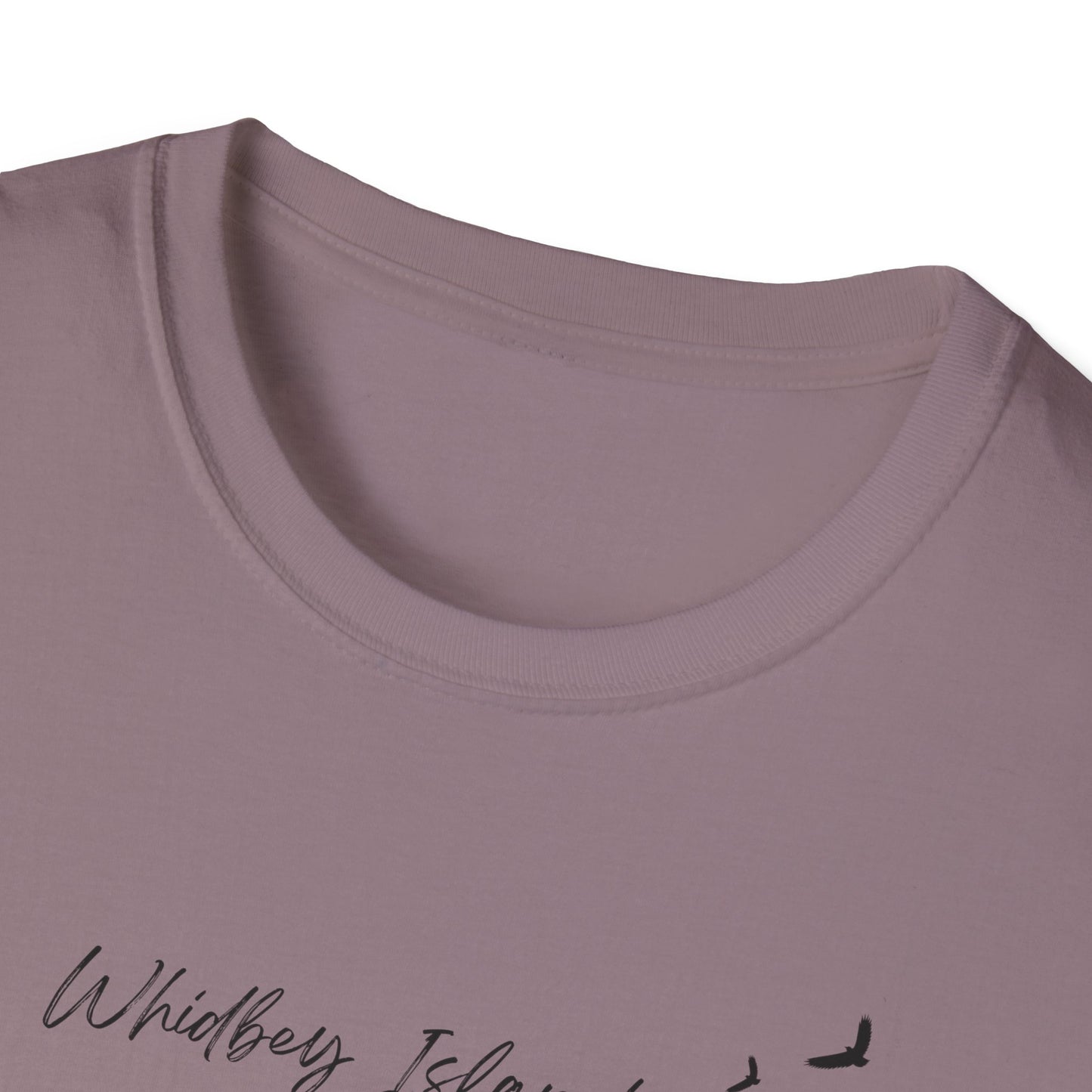 DECEPTION PASS BRIDGE, SCENE Unisex Softstyle T-Shirt