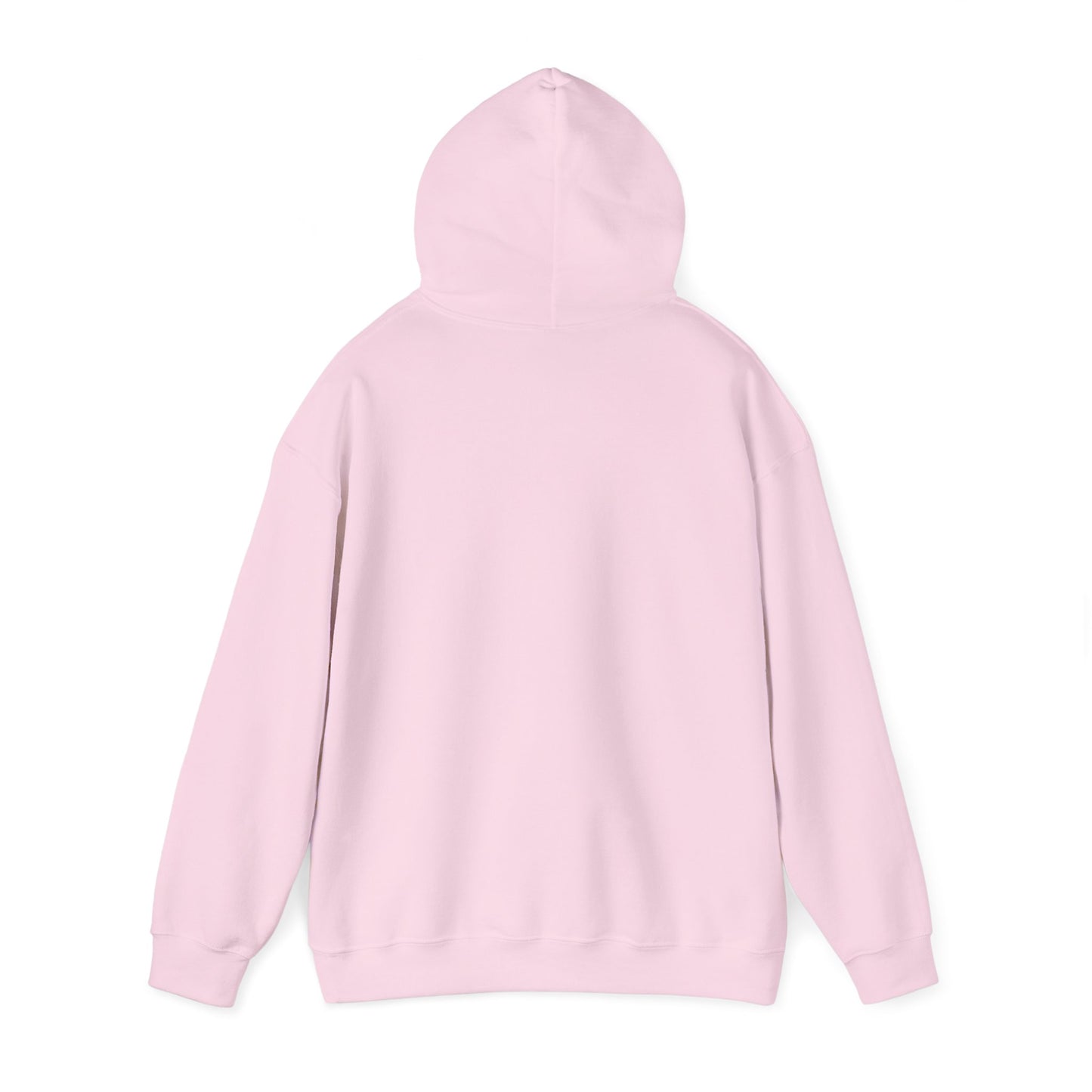 DECEPTION PASS BRIDGE, SCENE Unisex Heavy Blend™ Hooded Sweatshirt