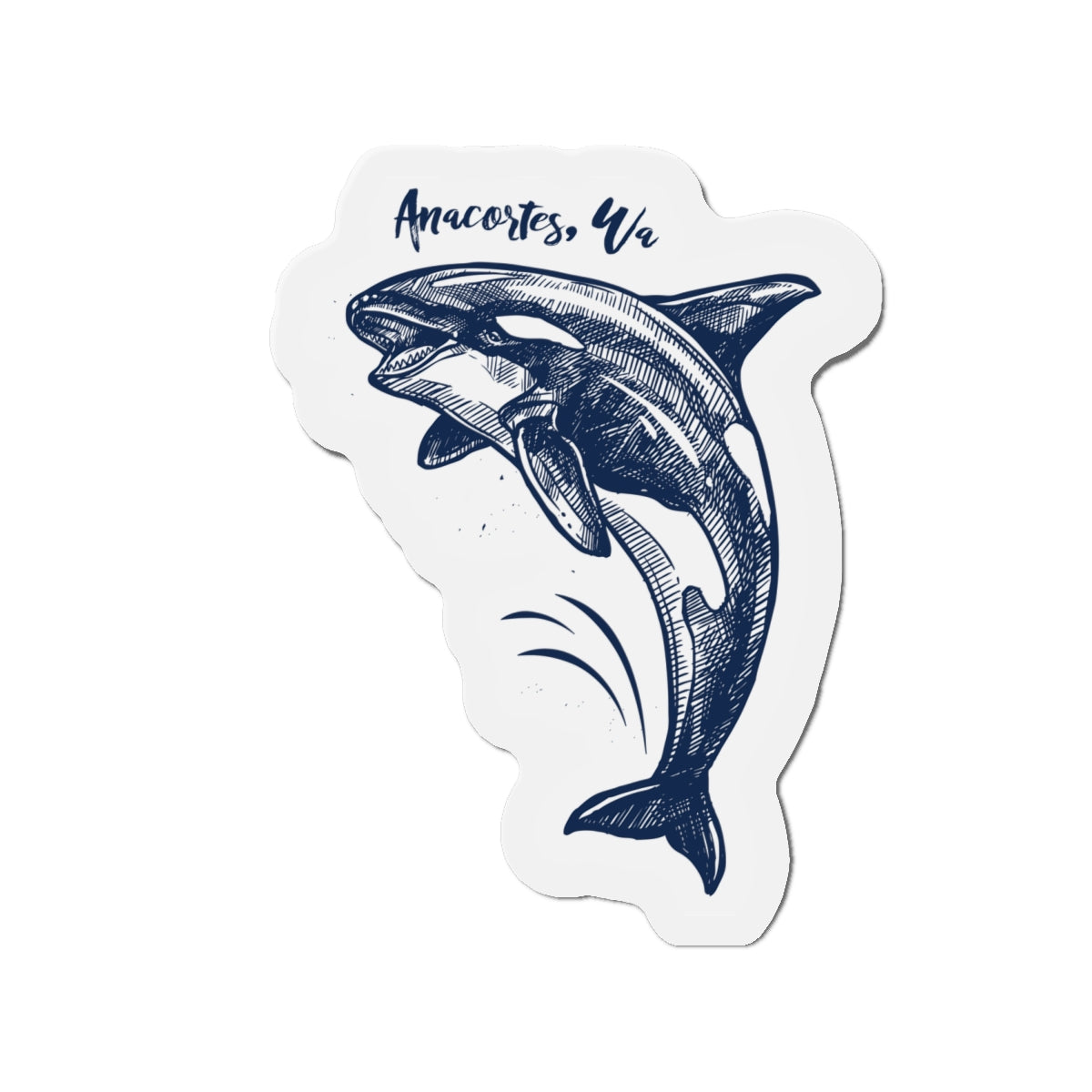 Anacortes Orca Sketch Magnet