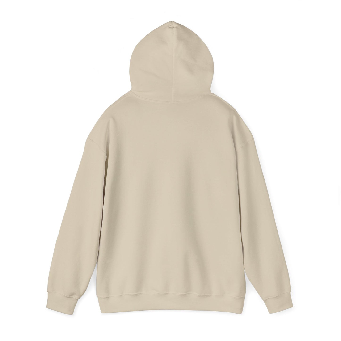 DECEPTION PASS BRIDGE, LOOKOUT Unisex Heavy Blend™ Hooded Sweatshirt