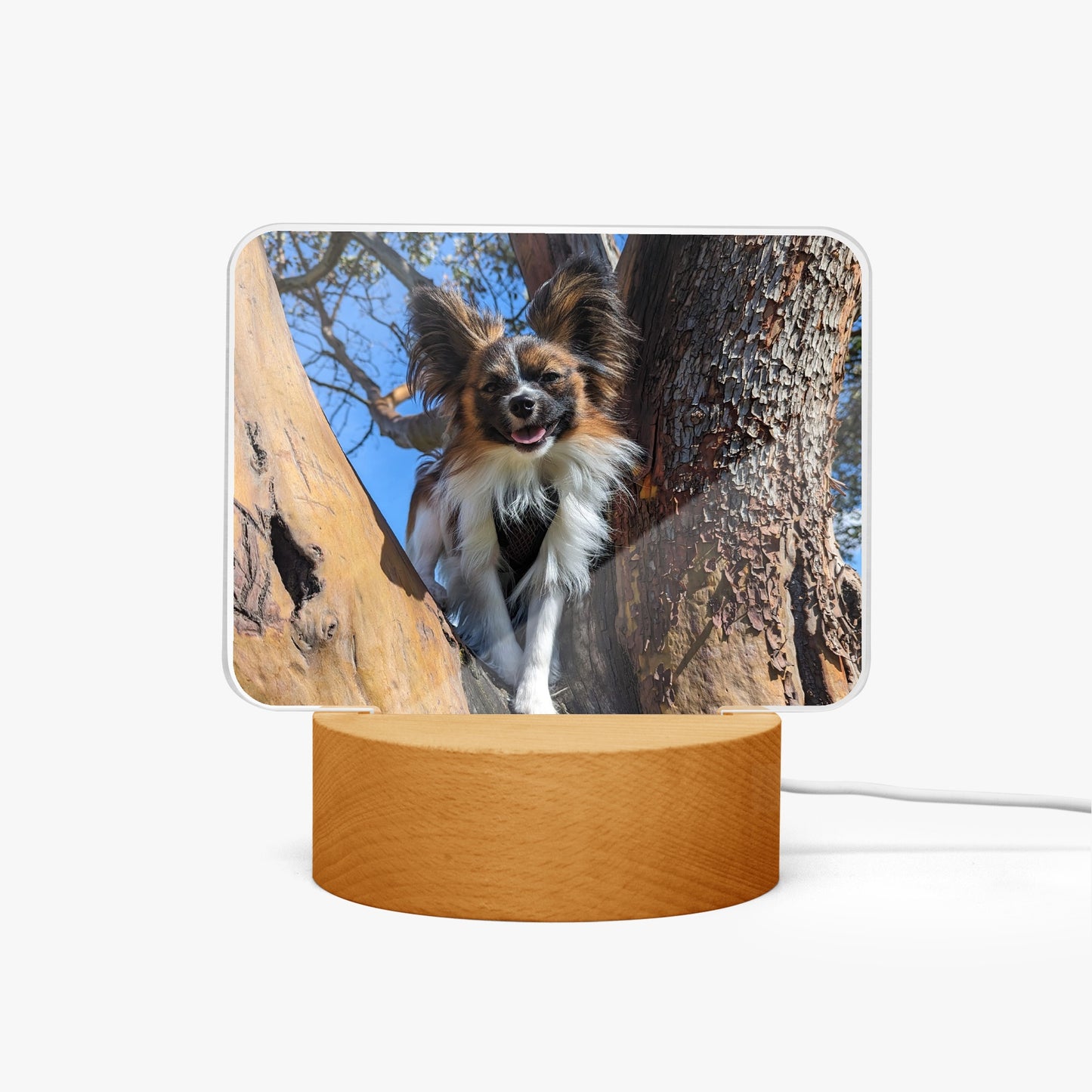 1063. Acrylic Plaque with Stand - Rectangle