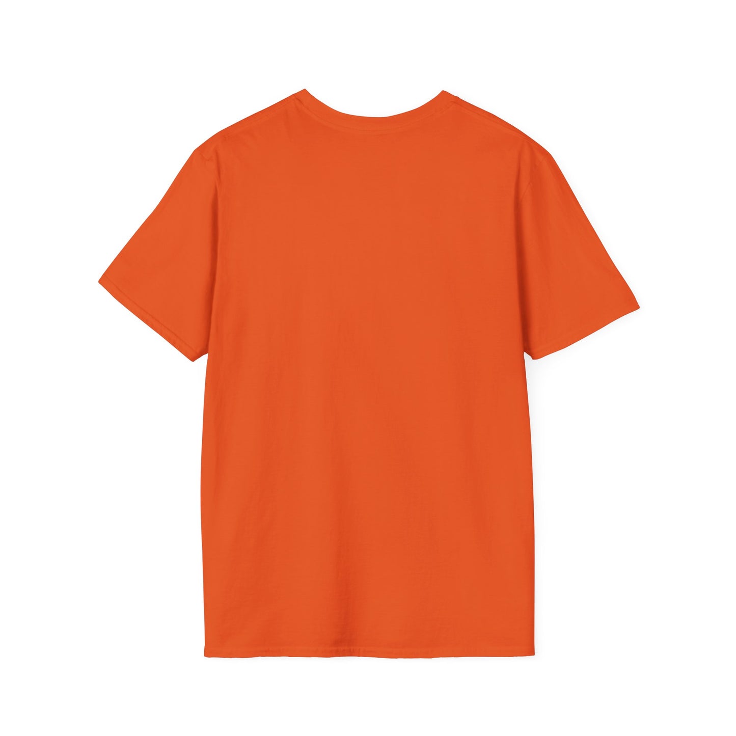 DECEPTION PASS BRIDGE, Unisex Softstyle T-Shirt
