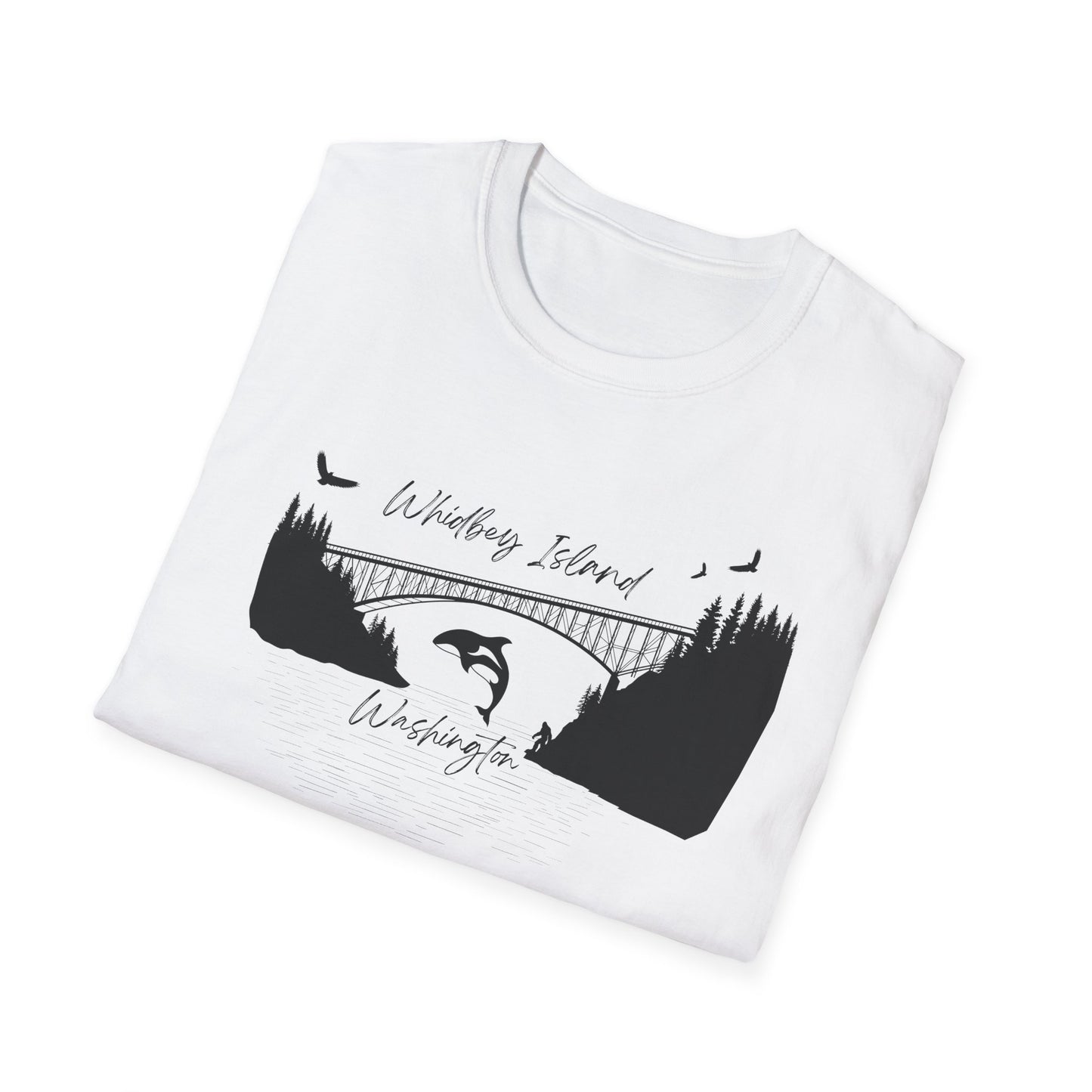 DECEPTION PASS BRIDGE, SCENE Unisex Softstyle T-Shirt