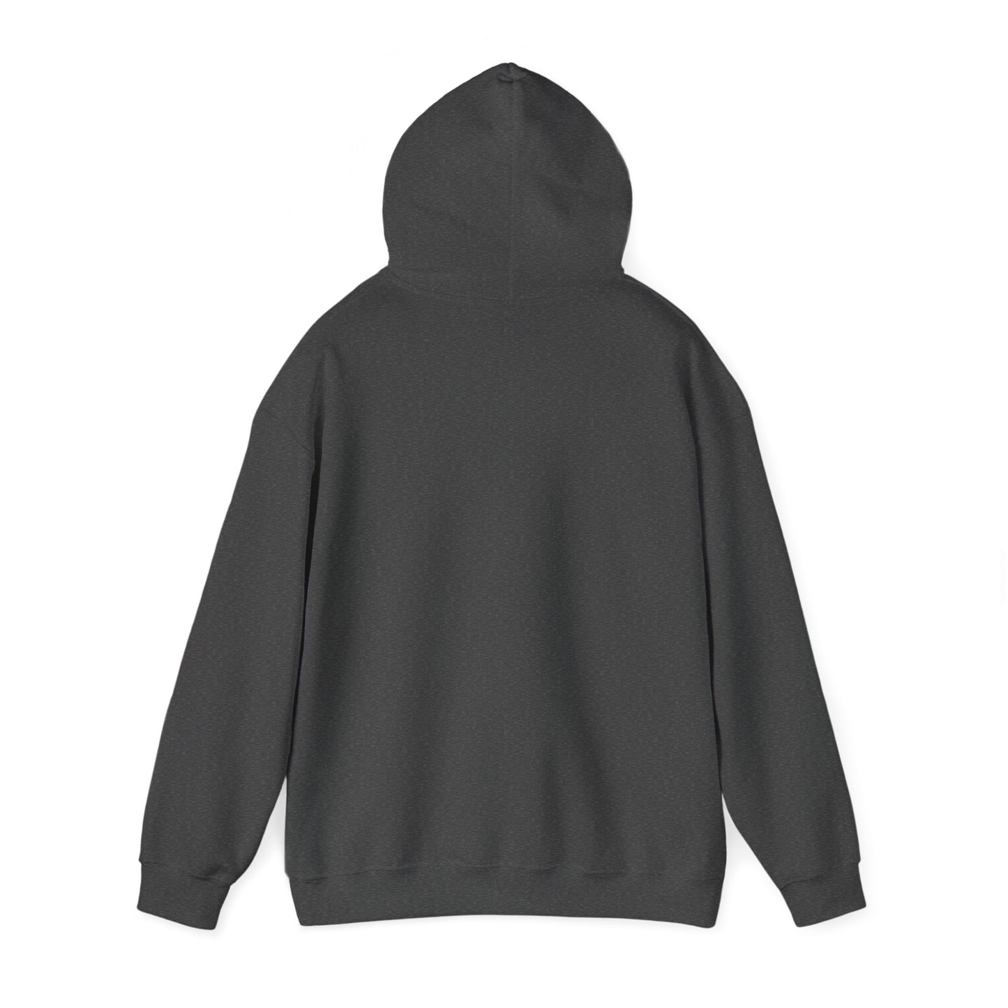Copy of RUN YOUR REEL - 8 Unisex Heavy Blend™ Hooded Sweatshirt