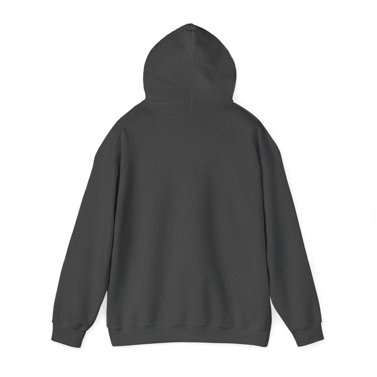 BIGGEST FAN ANACORTES SEAHAWKS Unisex Heavy Blend™ Hooded Sweatshirt