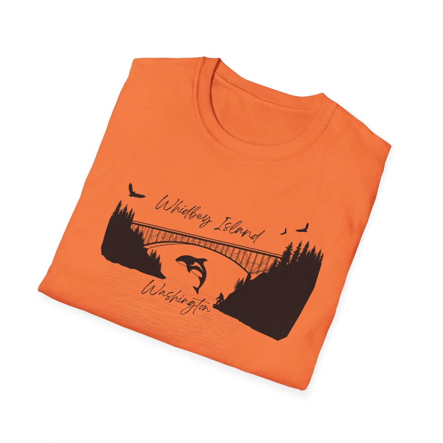 DECEPTION PASS BRIDGE, SCENE Unisex Softstyle T-Shirt