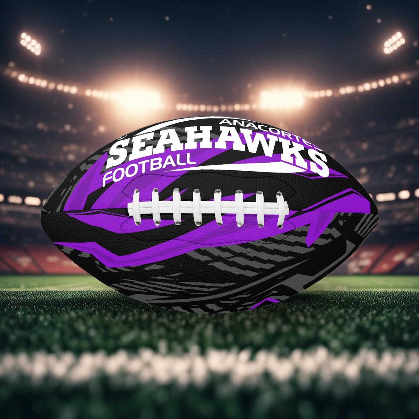 ANACORTES SEAHAWKS TWO PANEL FOOTBALL