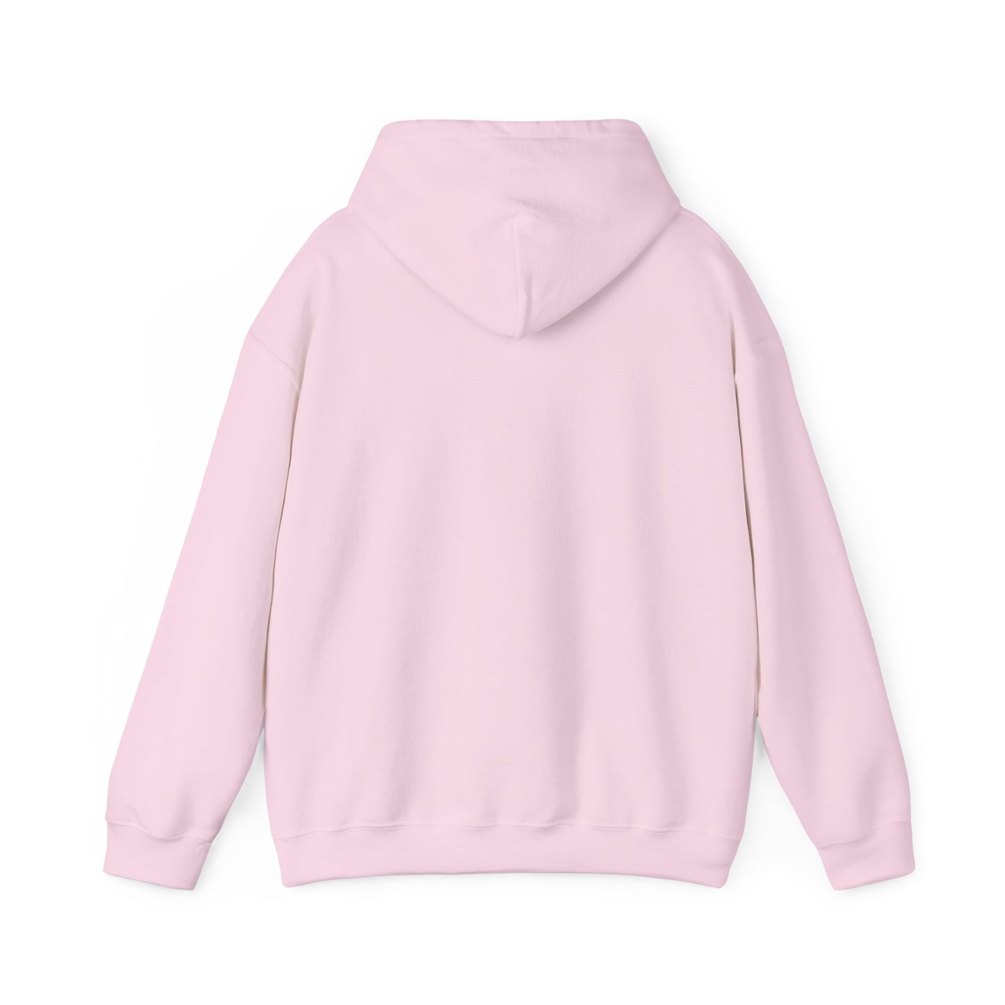 DECEPTION PASS BRIDGE, SCENE Unisex Heavy Blend™ Hooded Sweatshirt