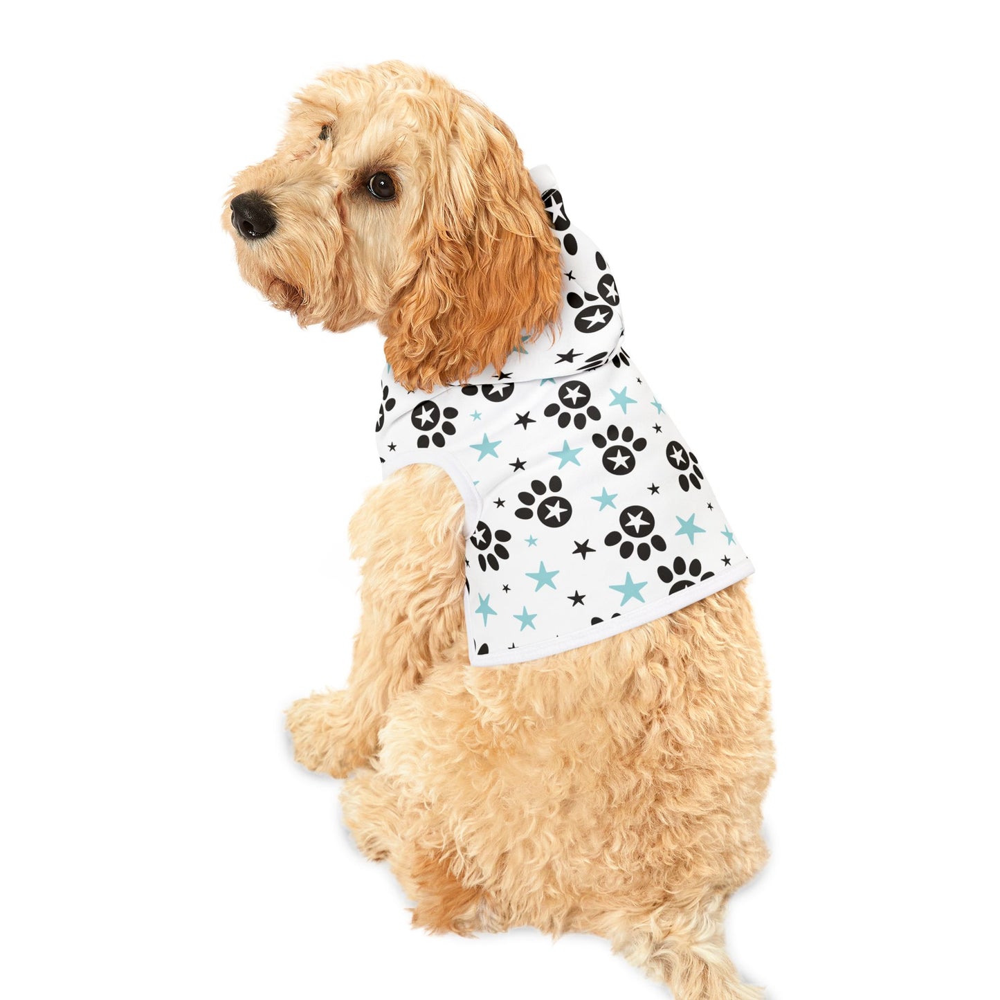 CATALOG Pet Hoodie