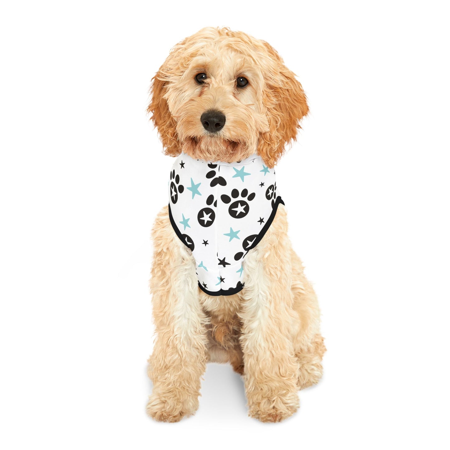 CATALOG Pet Hoodie