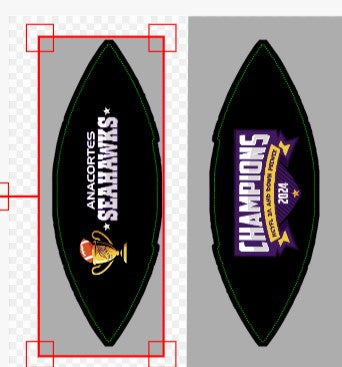 Peewee Champions - Two Panel Printed Football