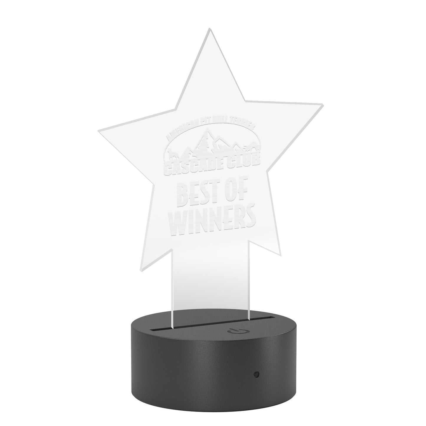 Star Pedestal Acrylic LED Sign