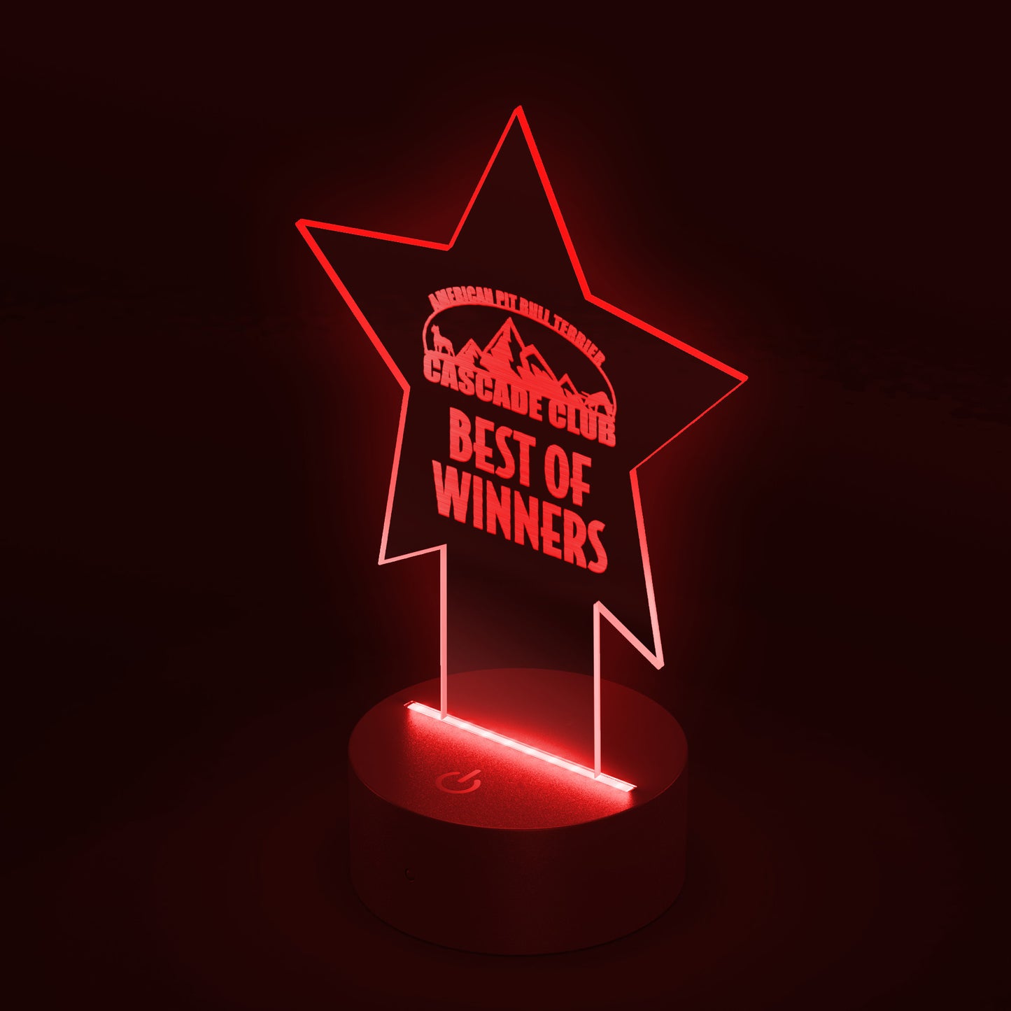 Star Pedestal Acrylic LED Sign