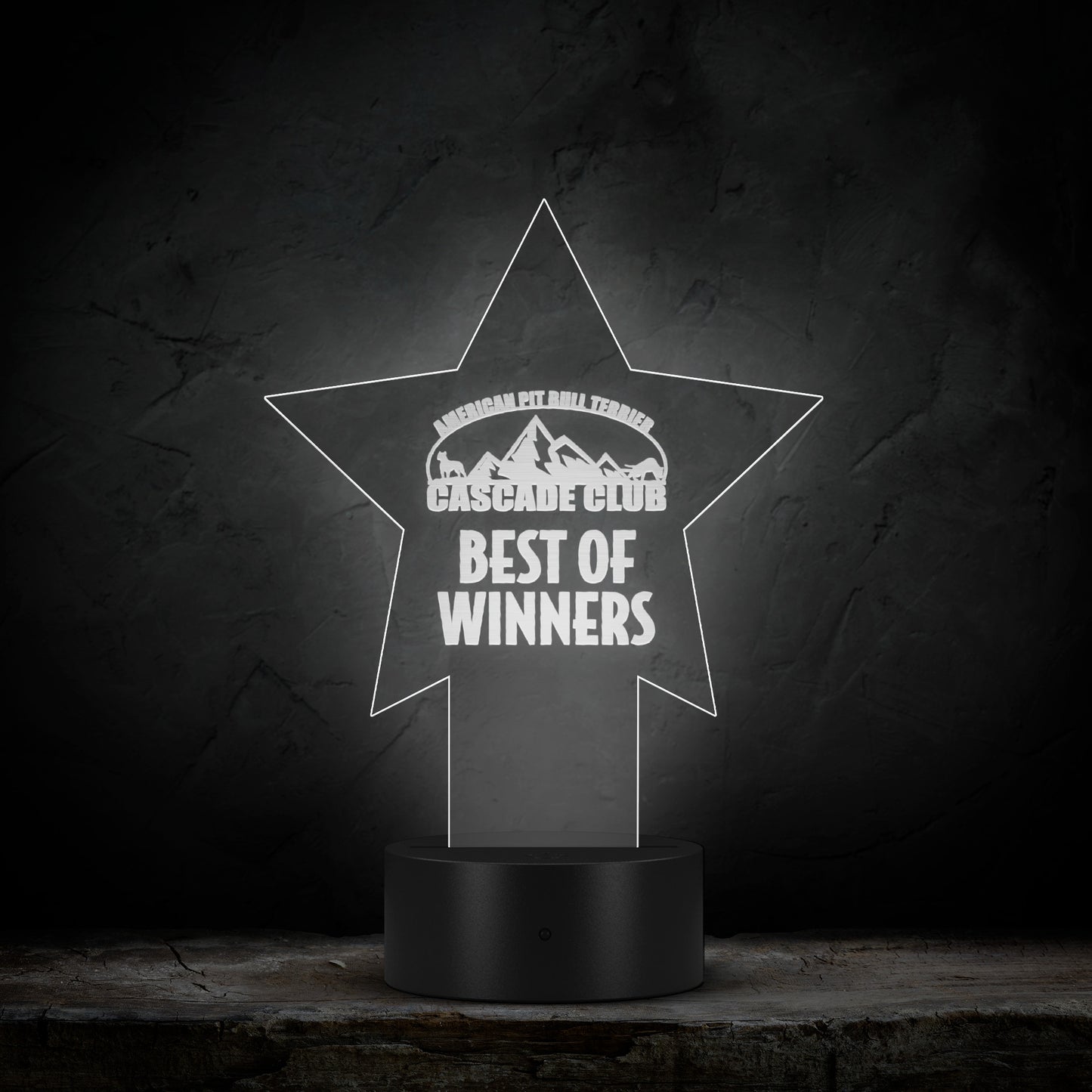 Star Pedestal Acrylic LED Sign