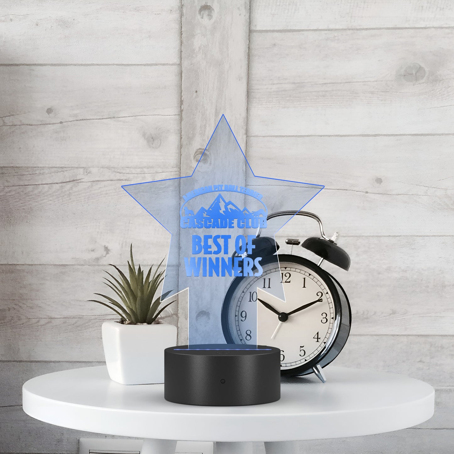 Star Pedestal Acrylic LED Sign