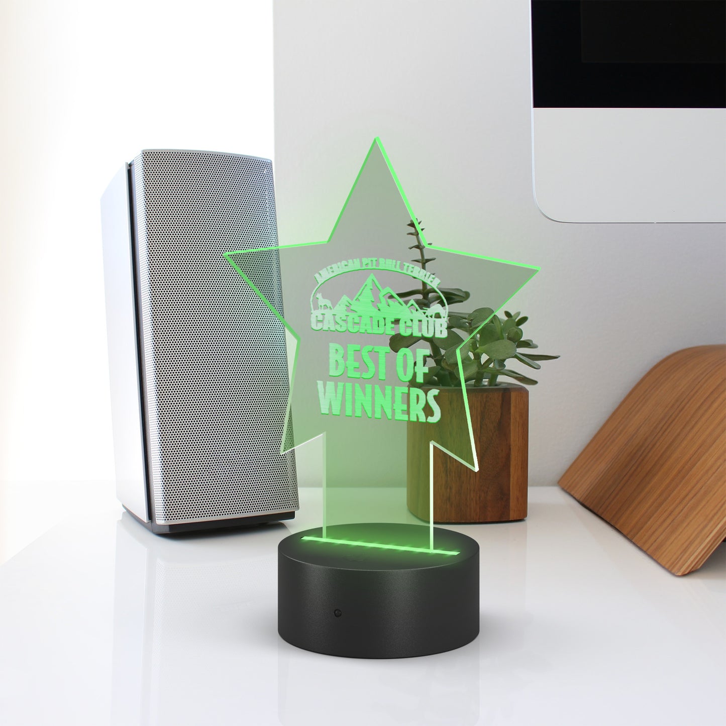Star Pedestal Acrylic LED Sign