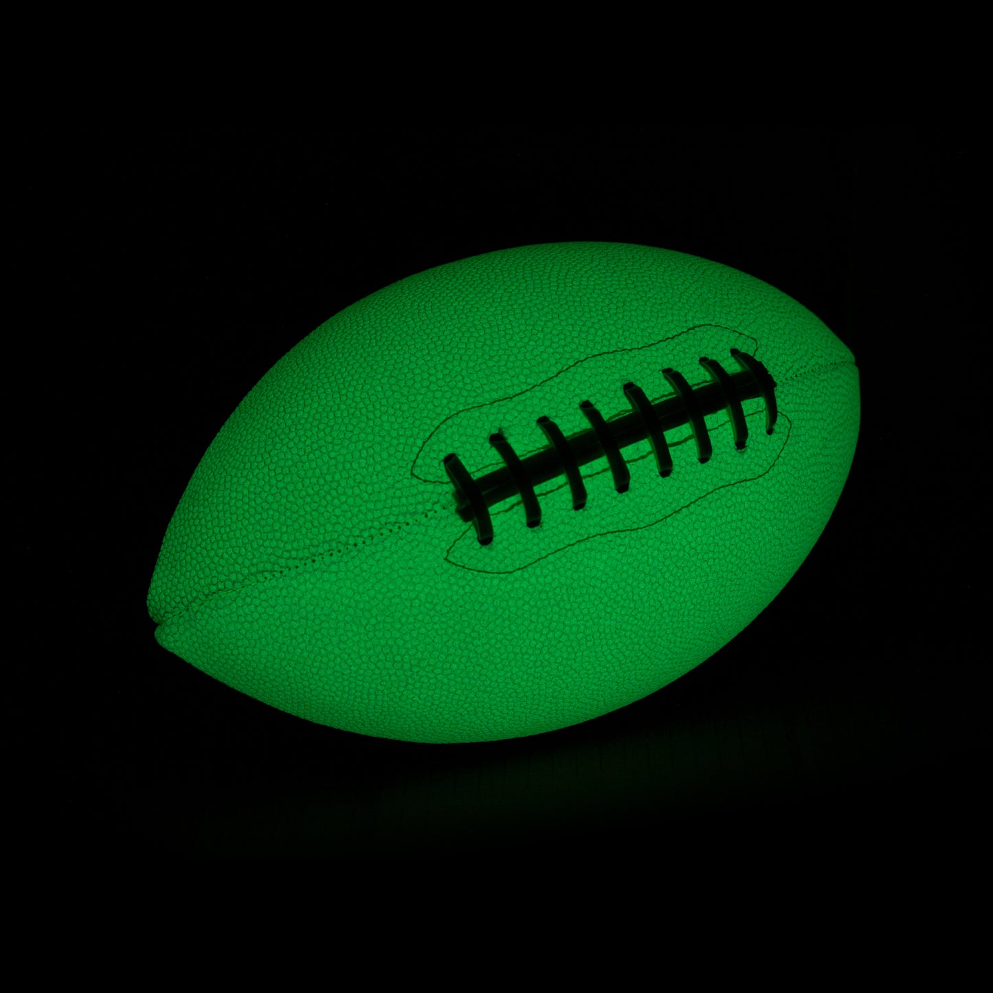 ANACORTES SEAHAWKS TWO PANEL FOOTBALL