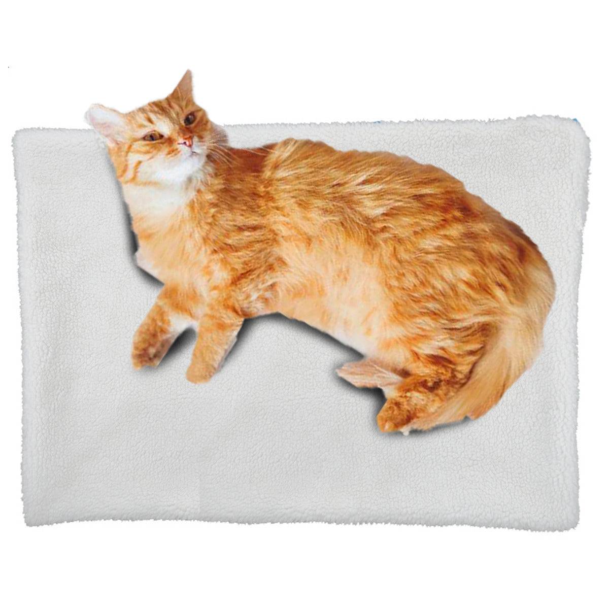 19x25 Inch PET MAT