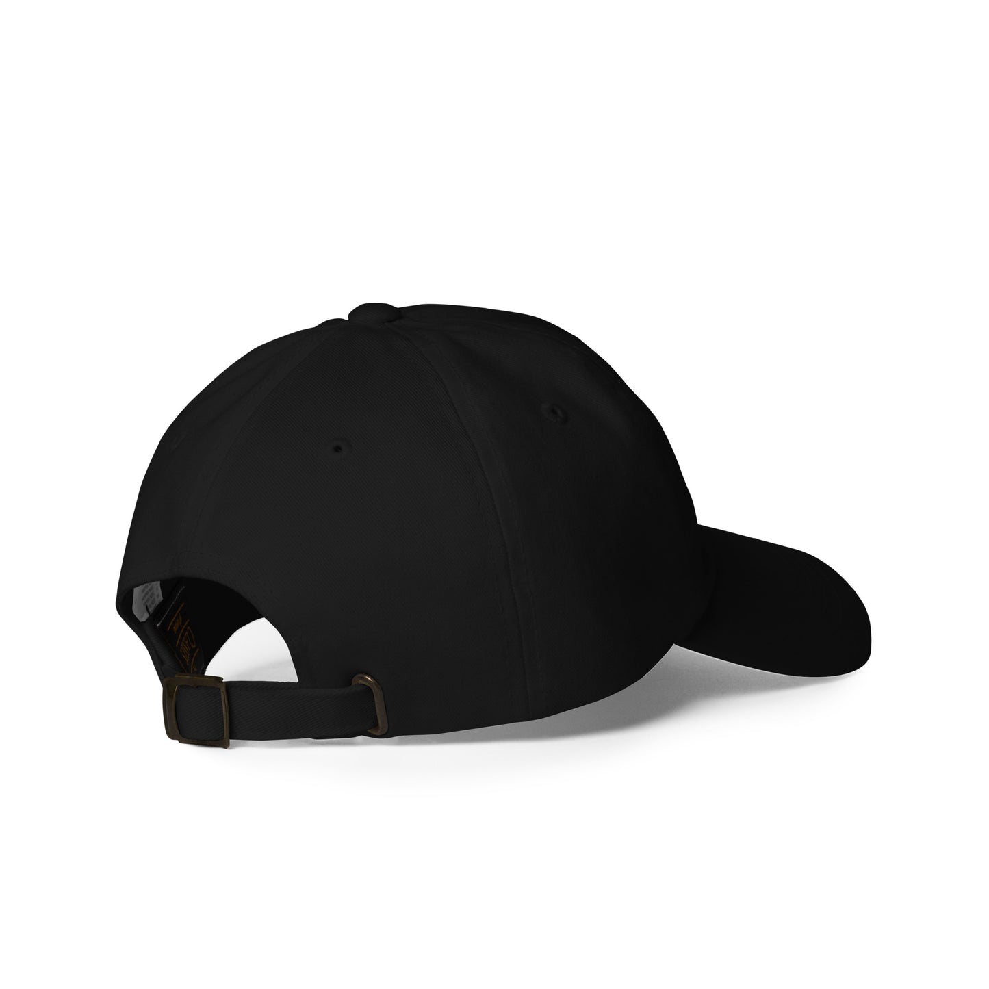 *ADULT EMBORDERED SEAHAWKS CHEER Hat