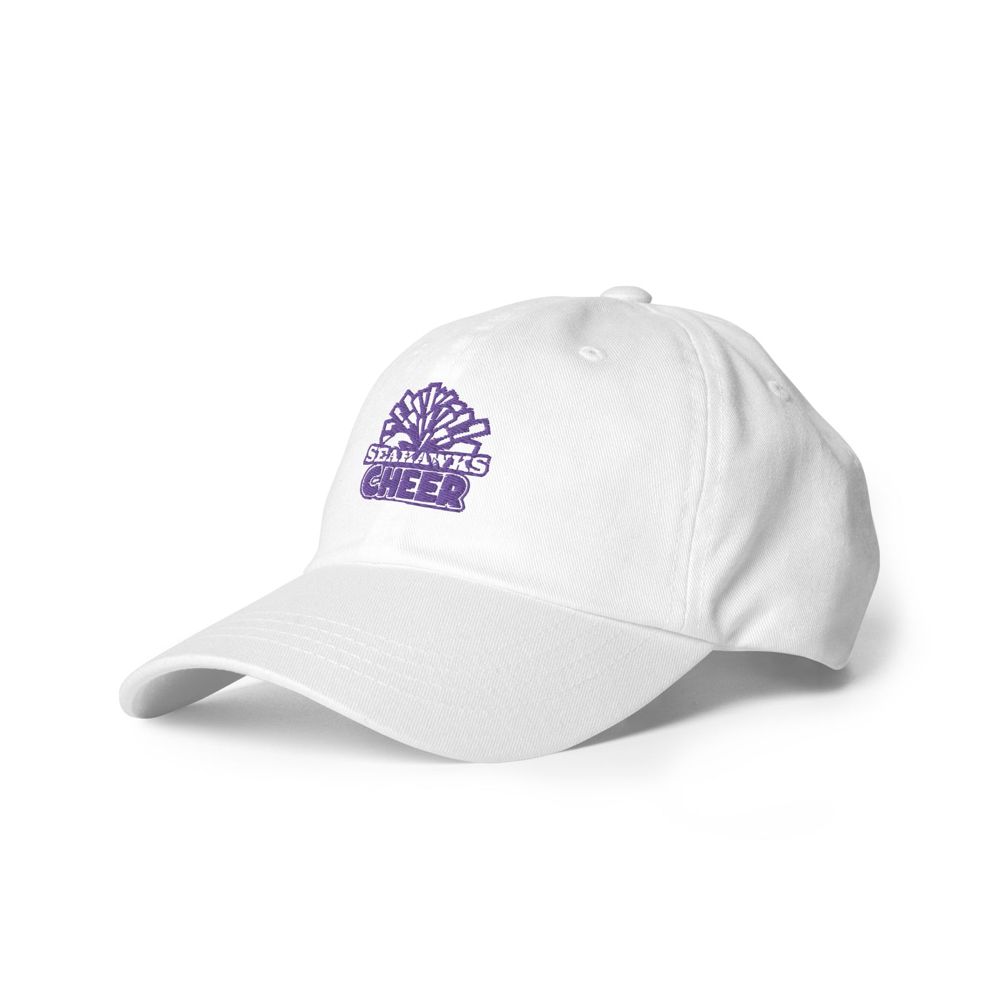 *ADULT EMBORDERED SEAHAWKS CHEER Hat